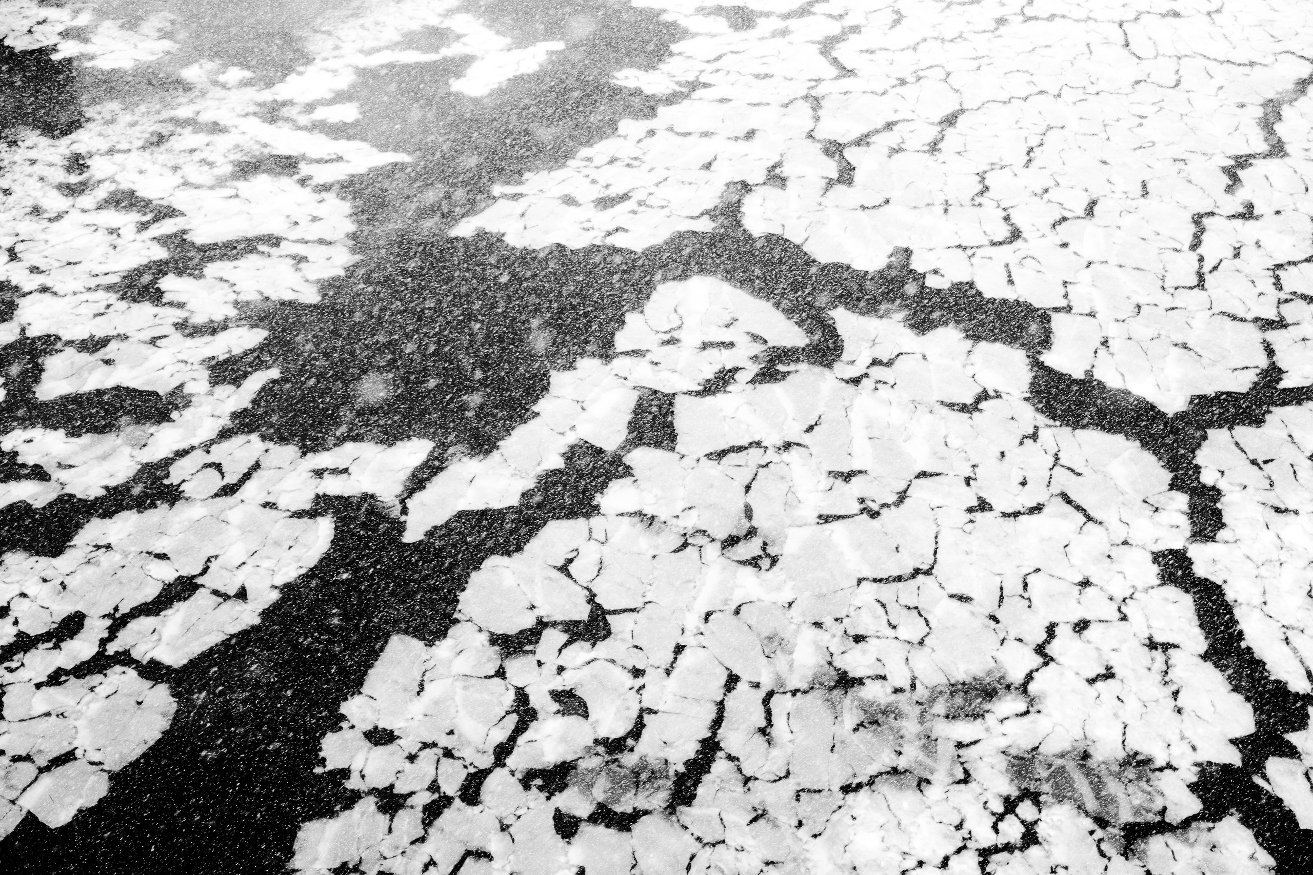 Снежная Москва. Репортажный фотограф в Москве Аида Исламова