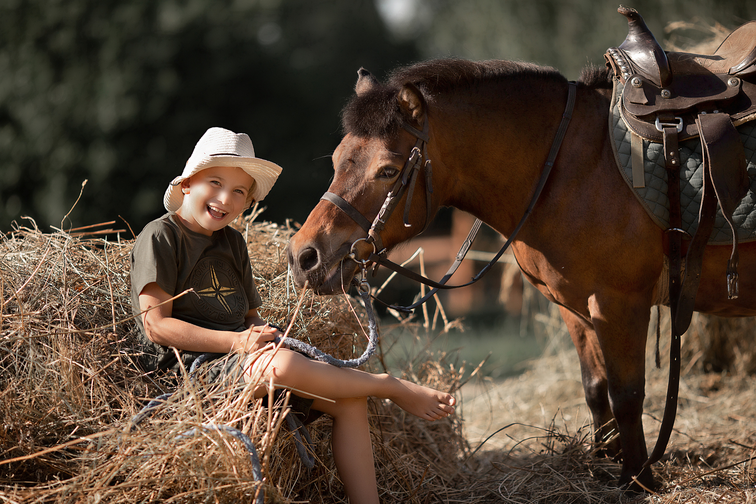 Фотосессия с лошадьми в Нижнем Новгороде