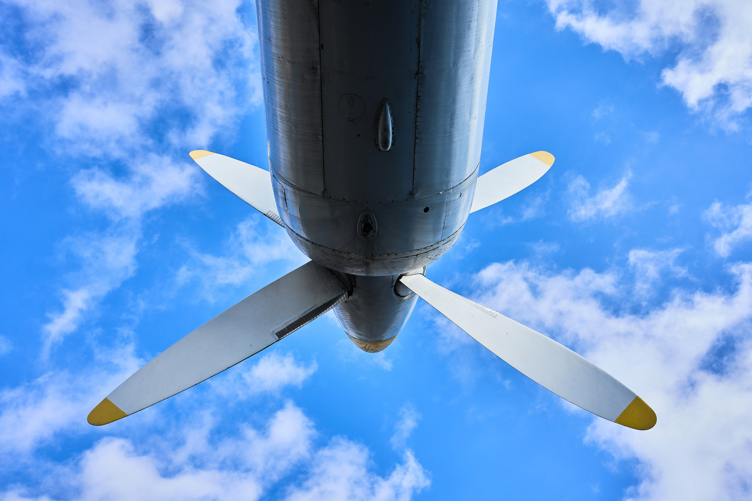 Калининград. Фотограф в Москве Анастасия Баева