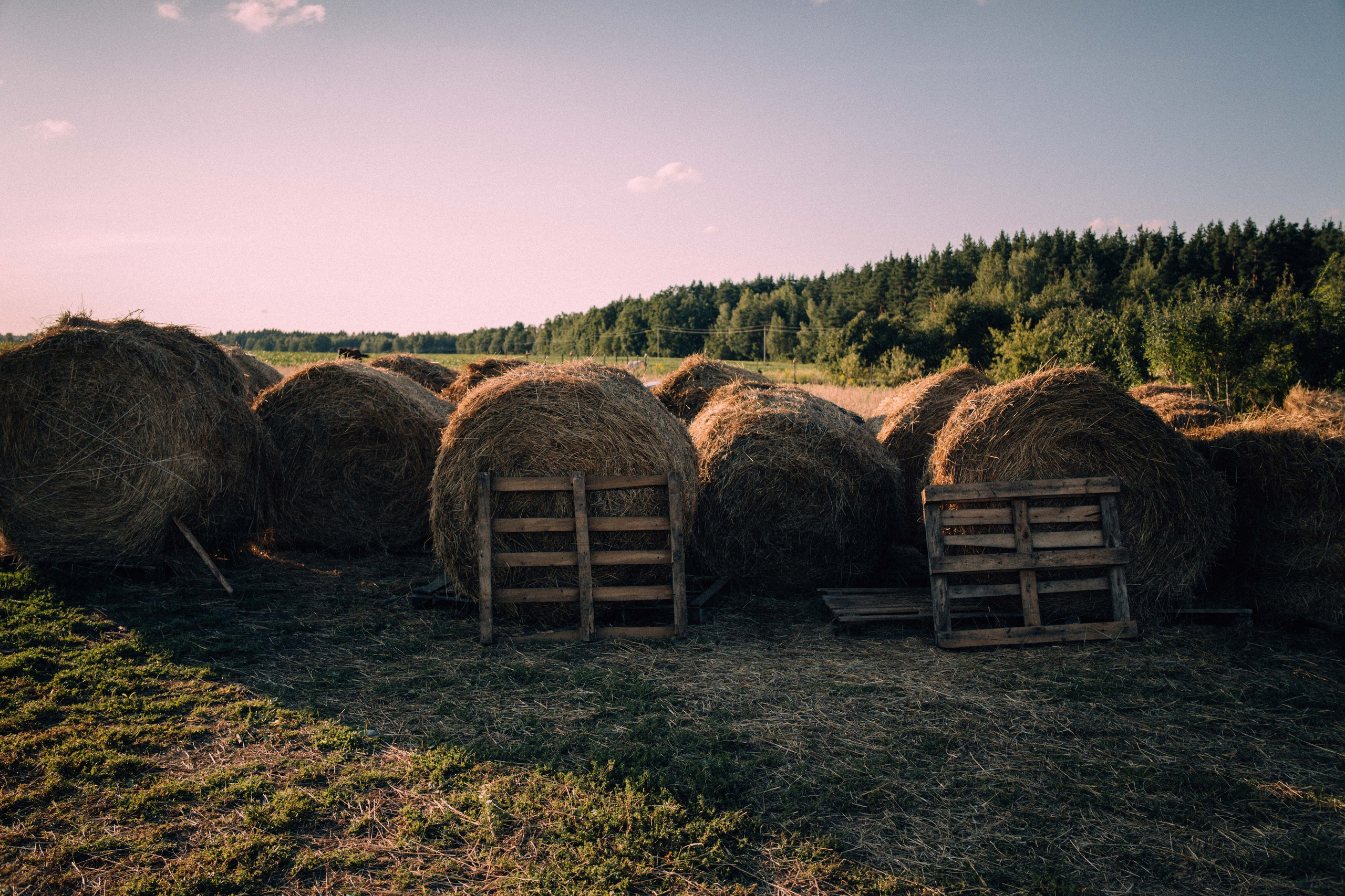 Воркшопы для фотографов. Фотограф Дмитрий Щекочихин