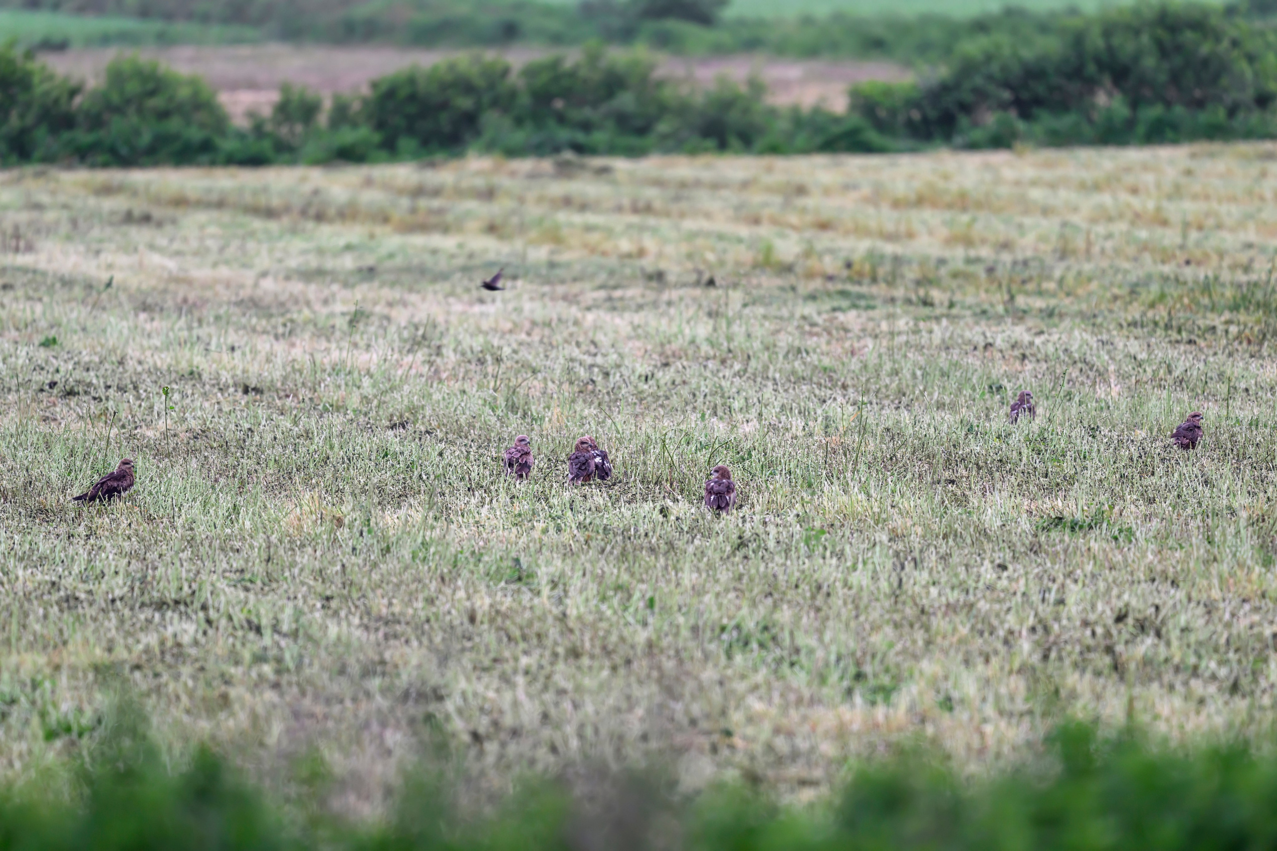 После урагана. After the hurricane. Фотограф Сергей Пупонин