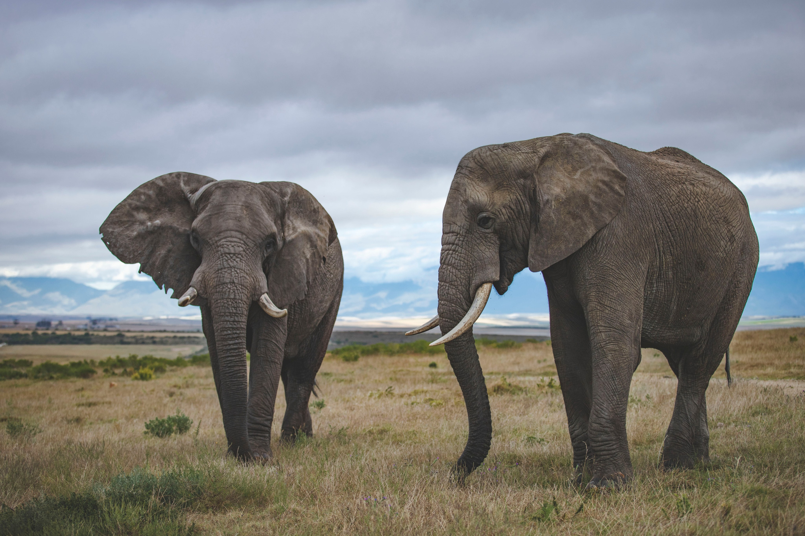 Фотограф Москва, Сергиев Посад