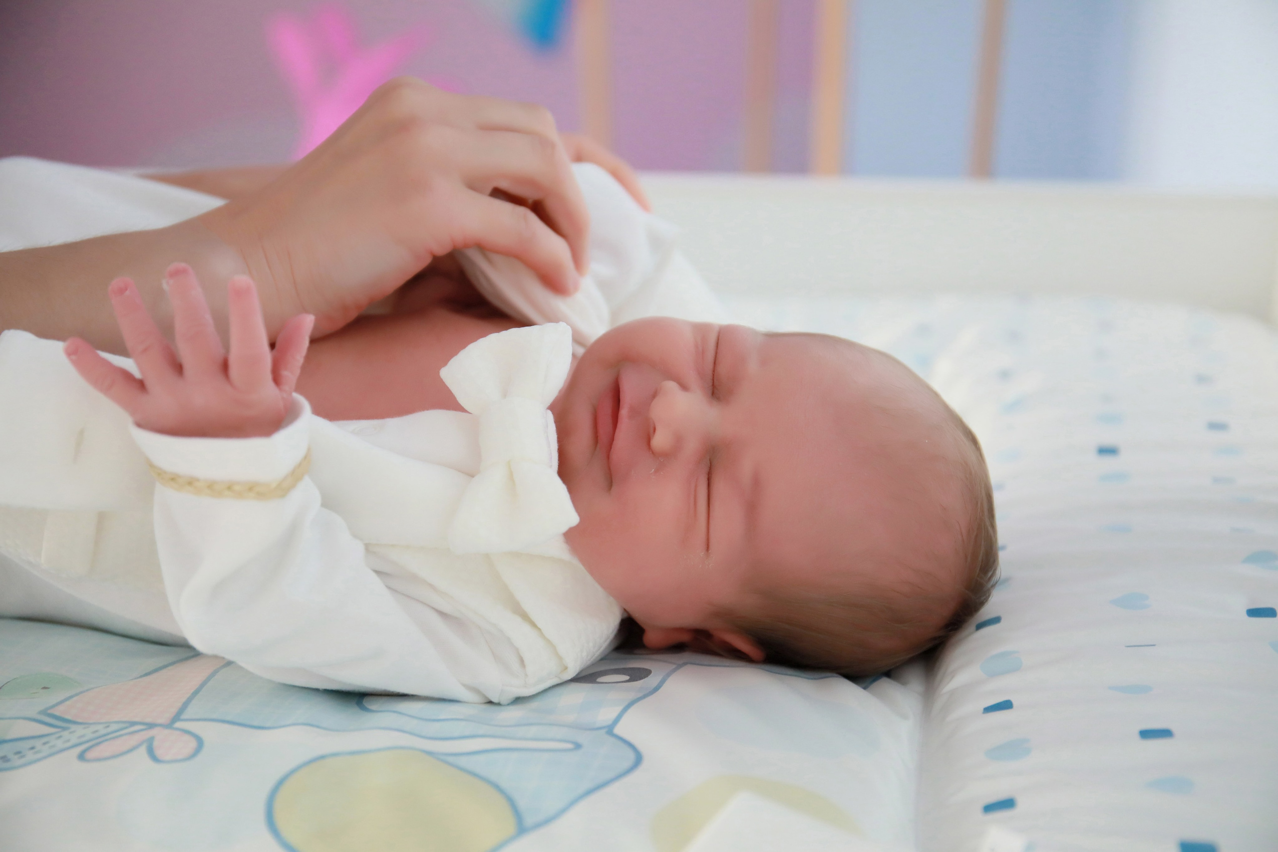 Прайс. Детский семейный фотограф Краснодар