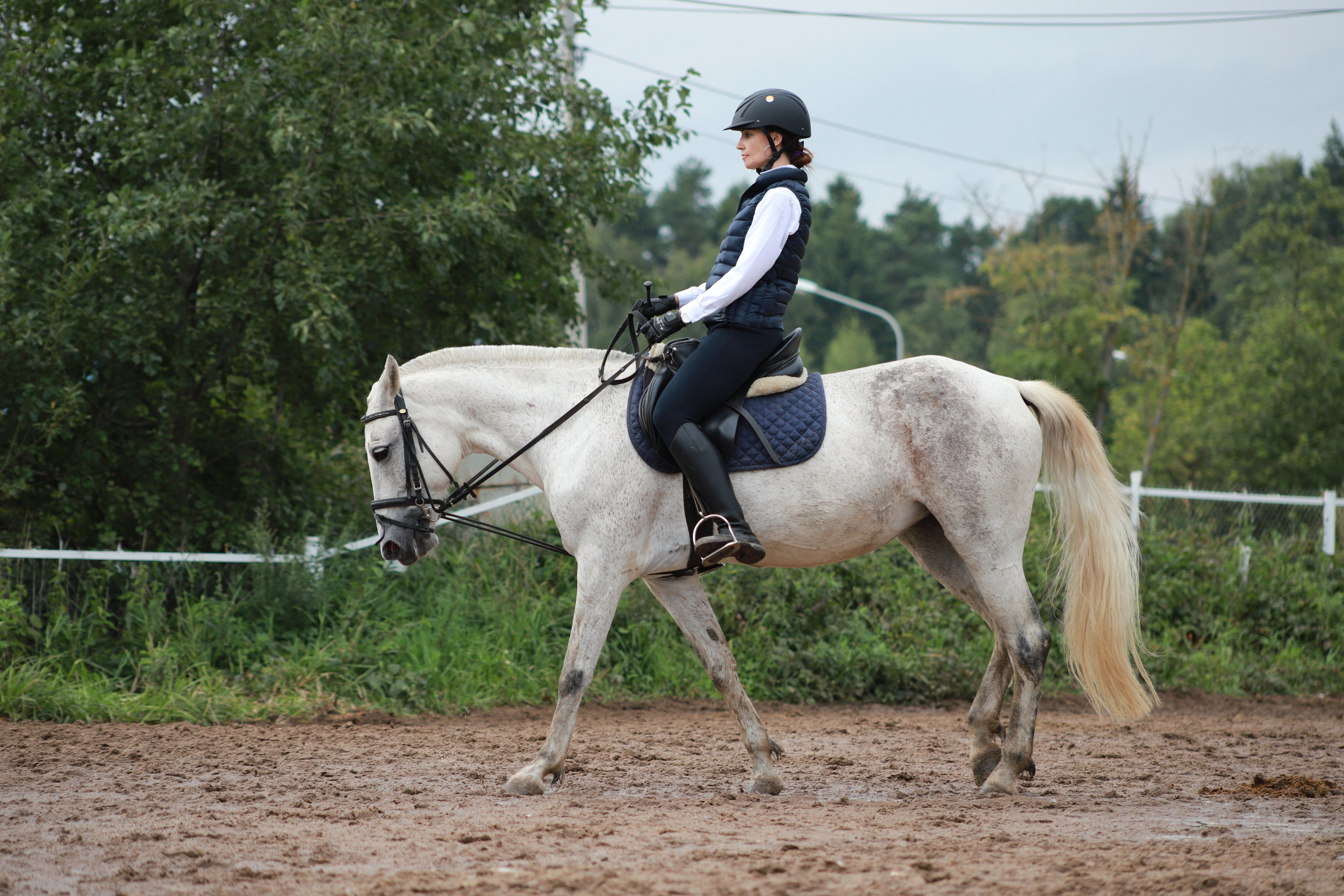 Услуги. КСК Тагир