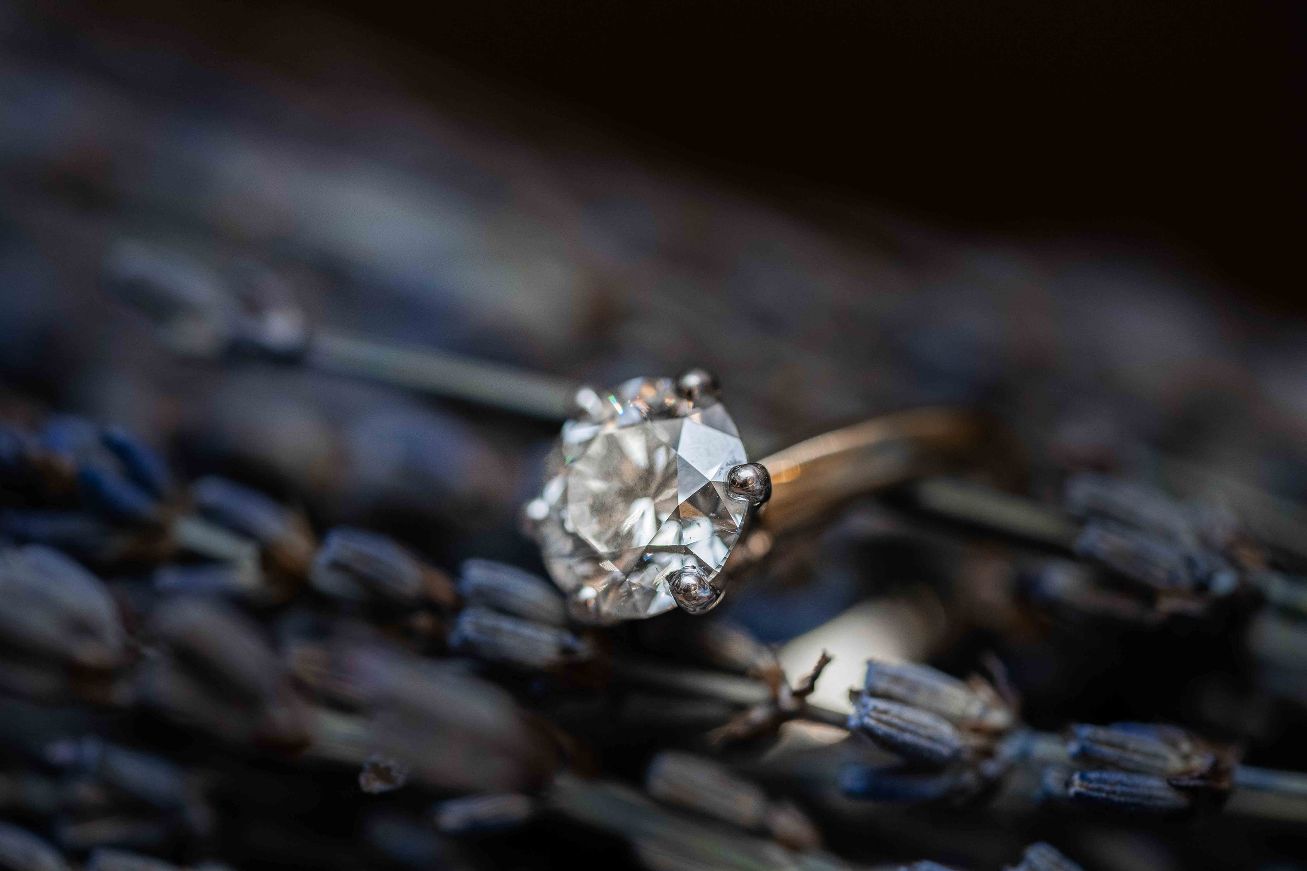 Wedding photographer in Abu Dhabi