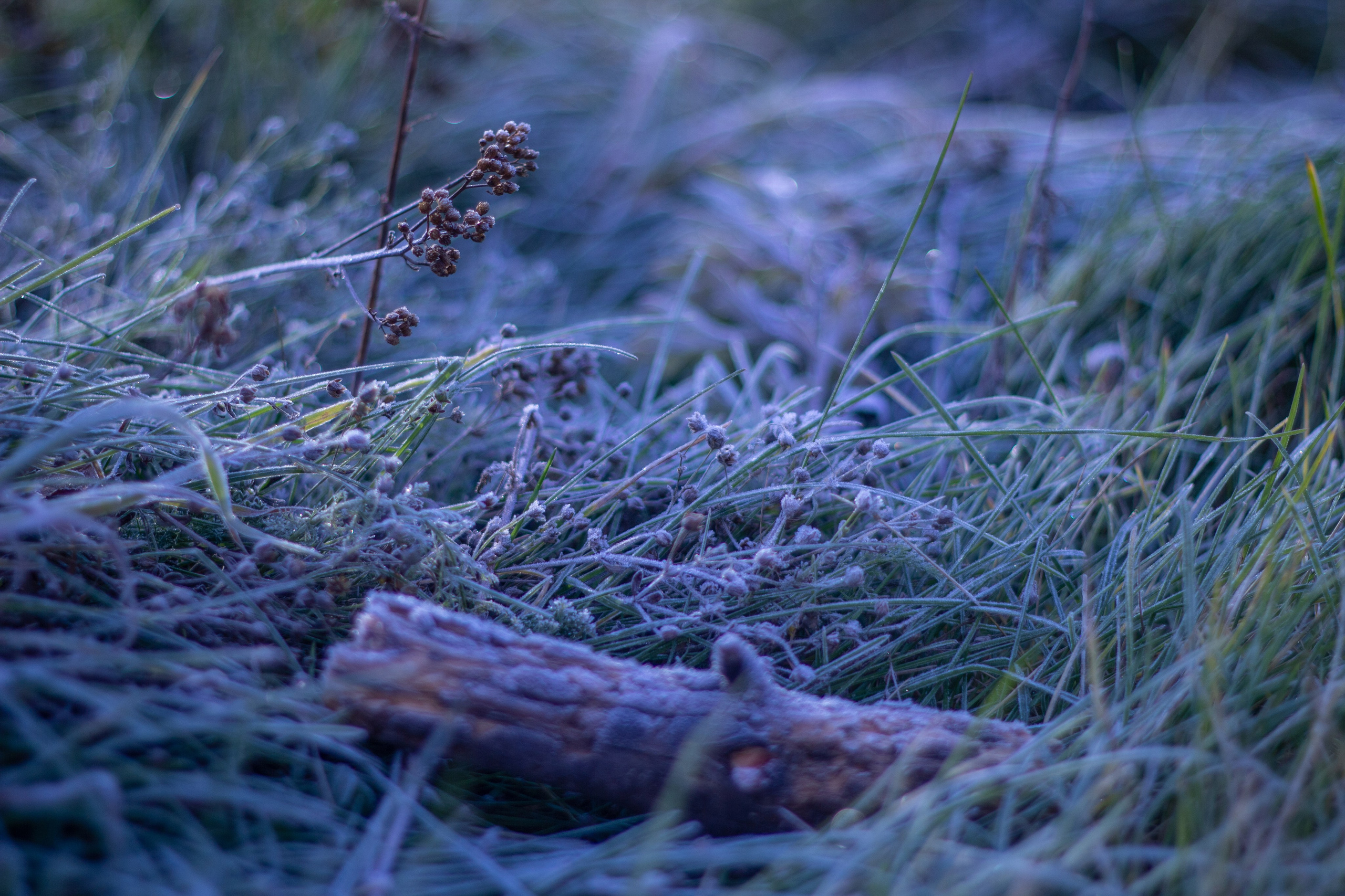 Ваш фотограф Северск | Томск