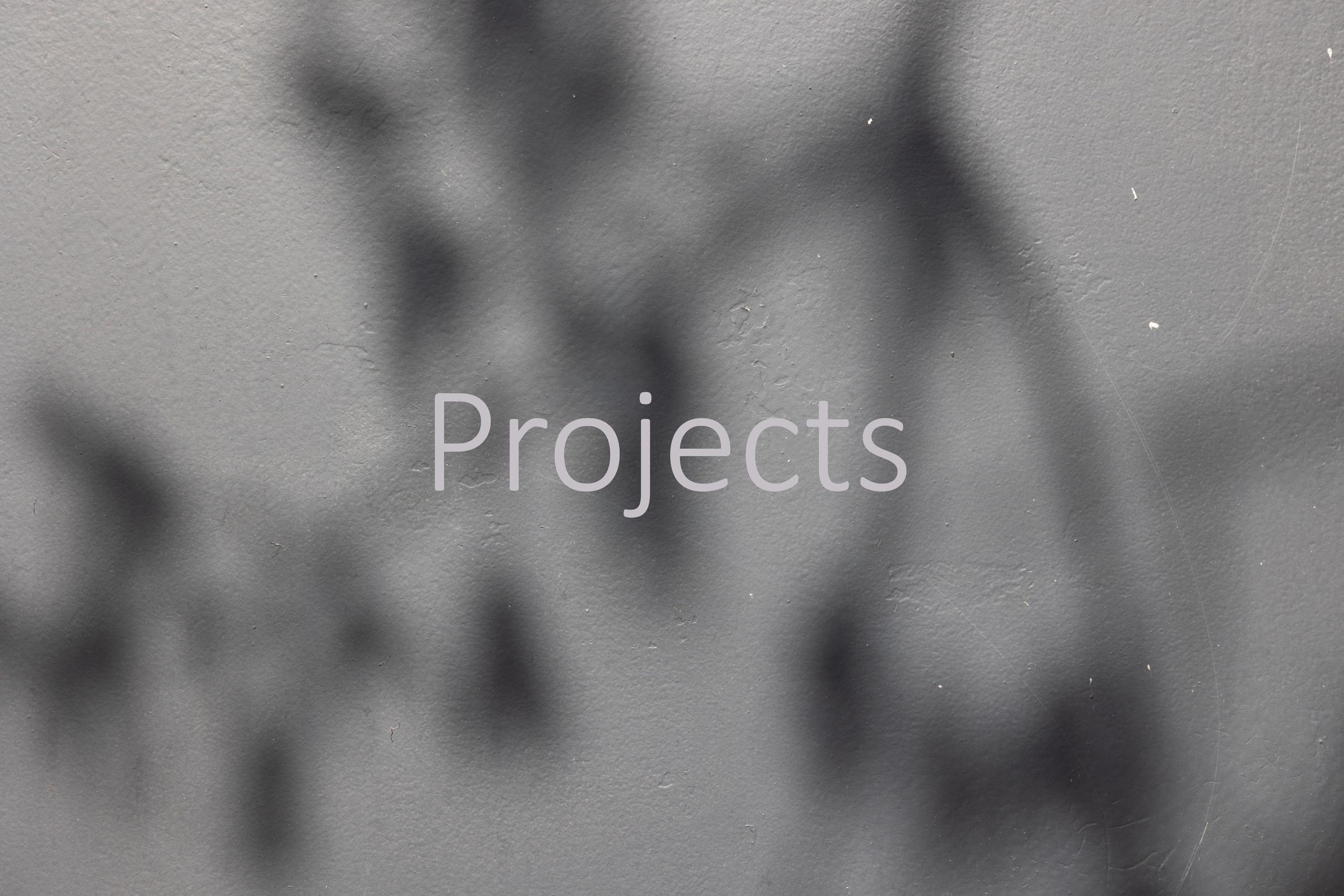 Фотограф алина стерхова, алина стерхова фотограф, фотограф москва