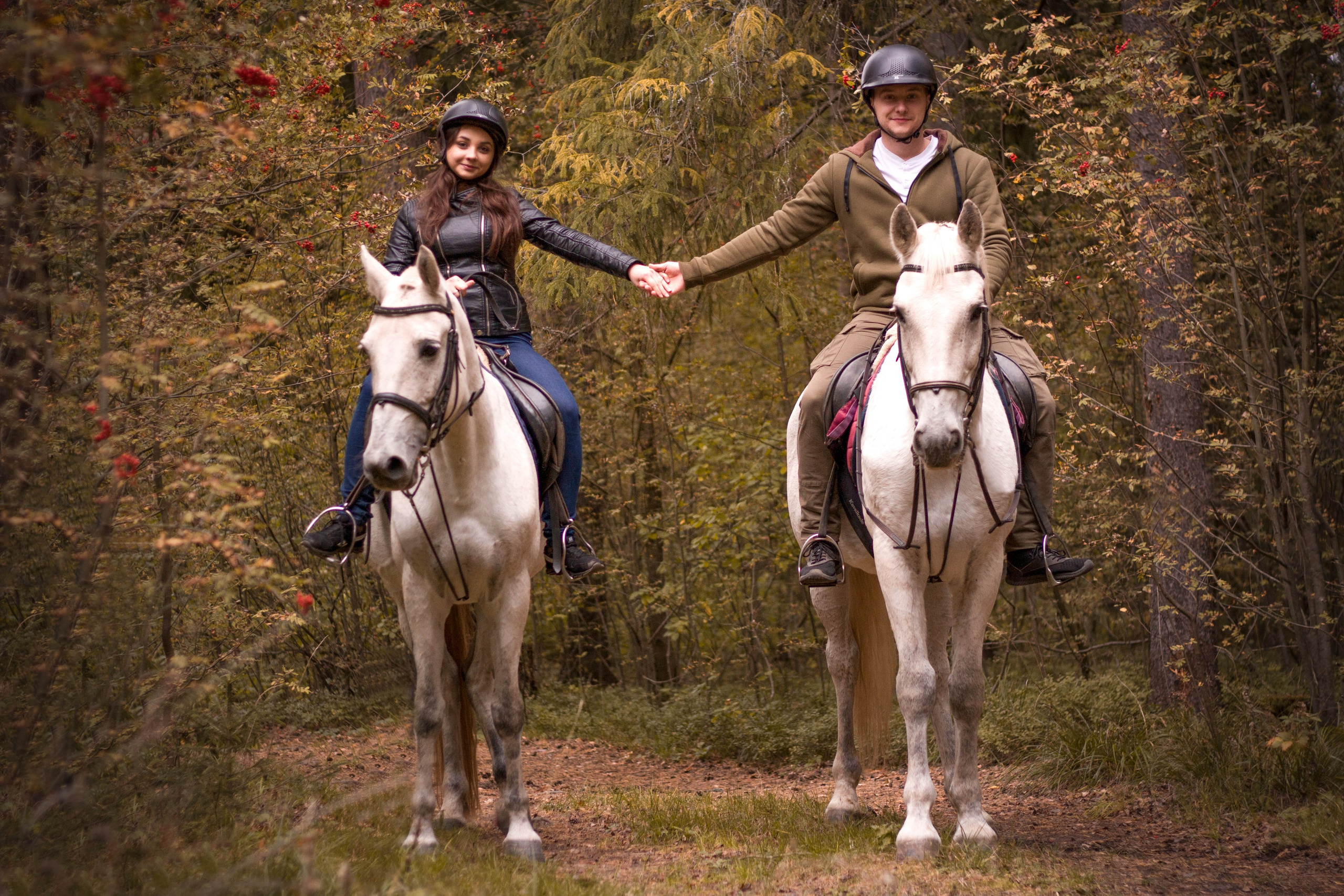 Услуги. КСК Тагир