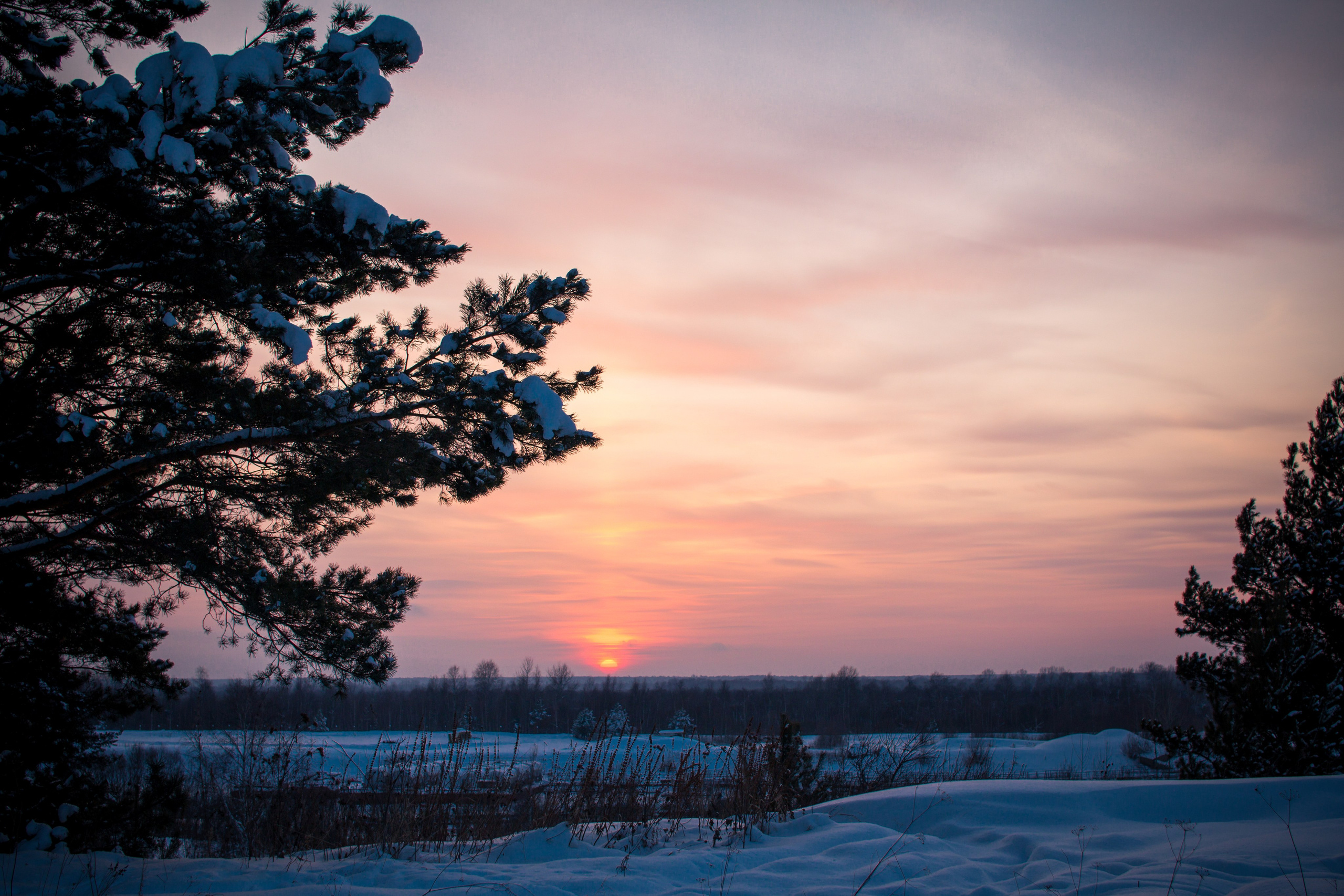 Ваш фотограф Северск | Томск