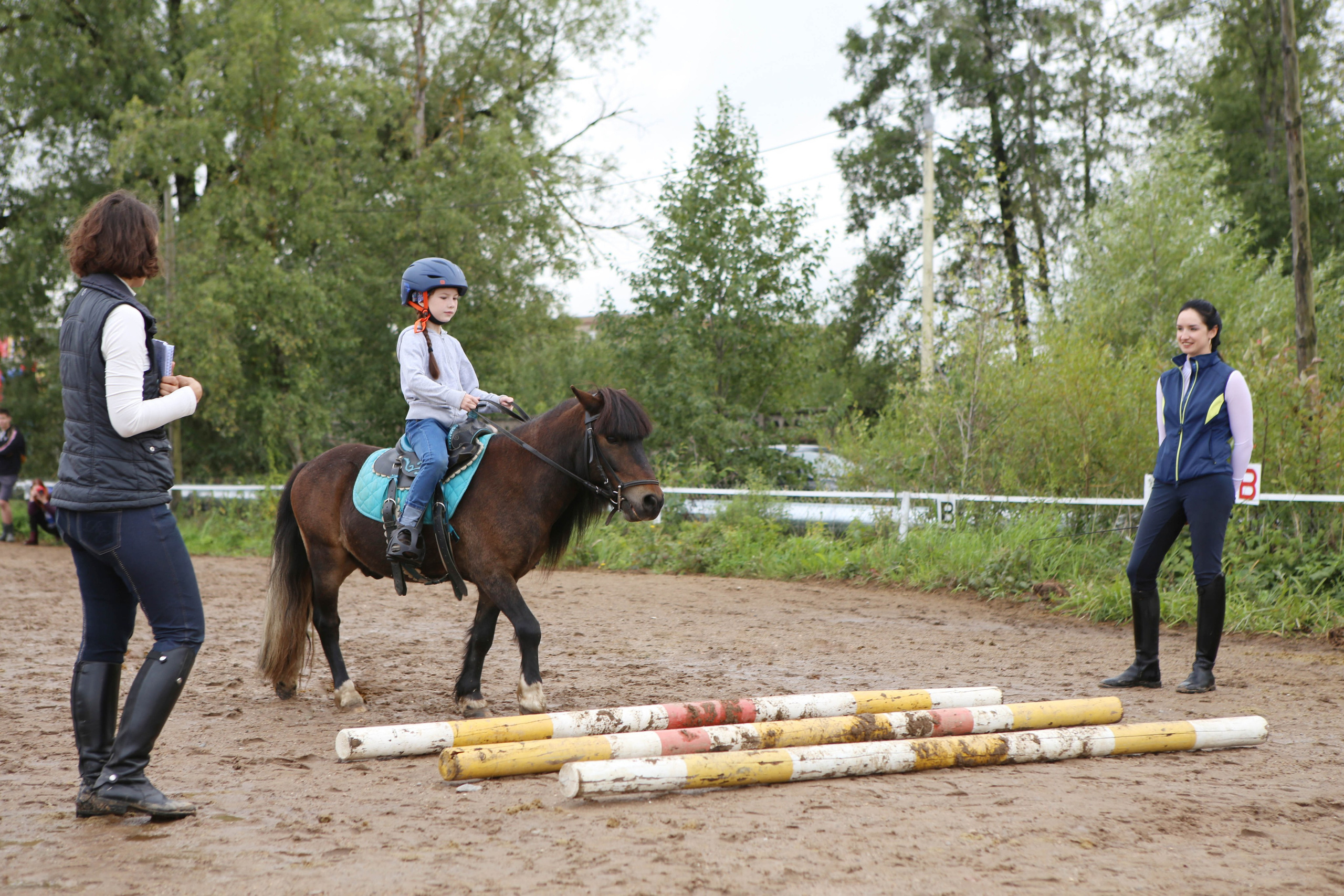 Услуги. КСК Тагир