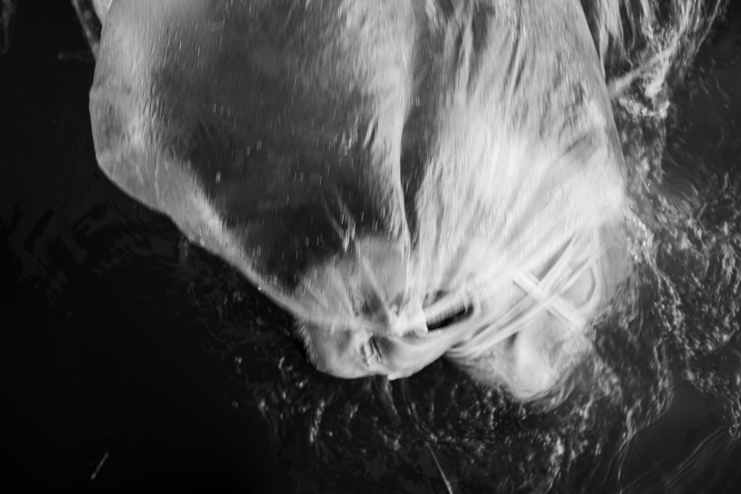 Белый Ветер «Выживут только Художники». Екатерина Дымова. Фотограф. Автор проекта «Белый Ветер»