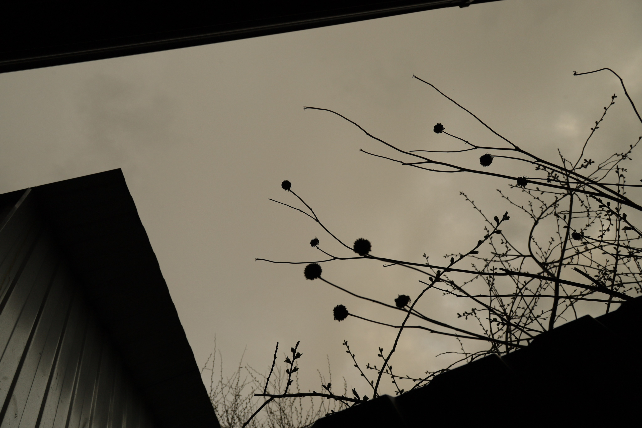 365 фотографий неба