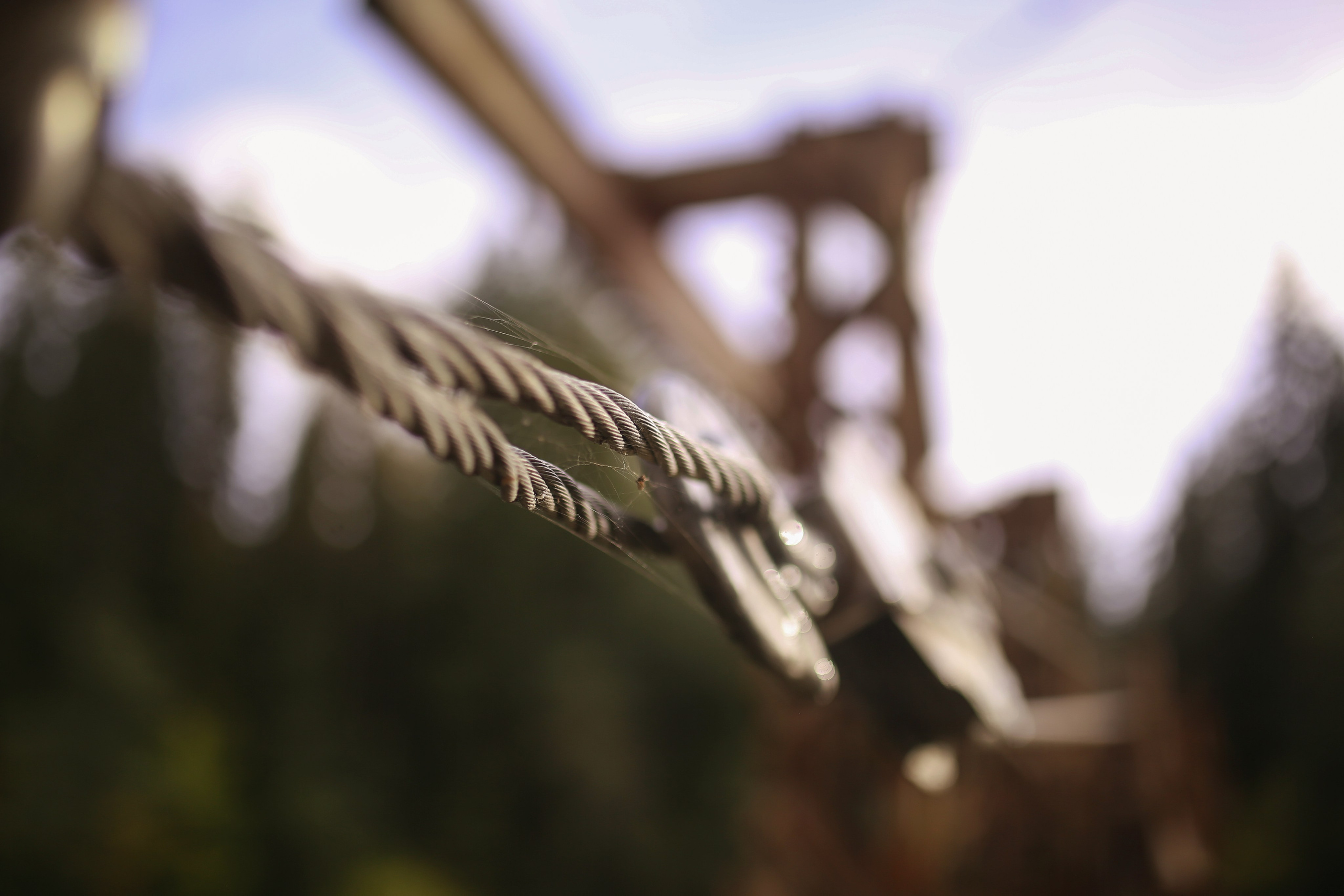 Услуги. Фотограф Ulumberg Arslan