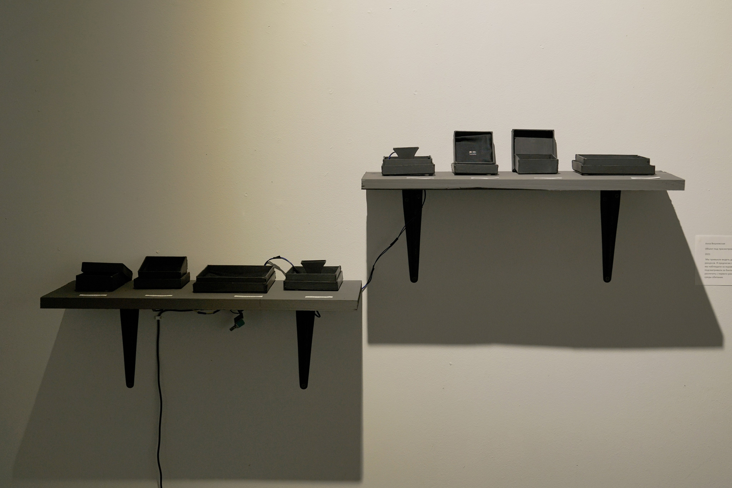 Объект под присмотром. Anna Vishnevskaya