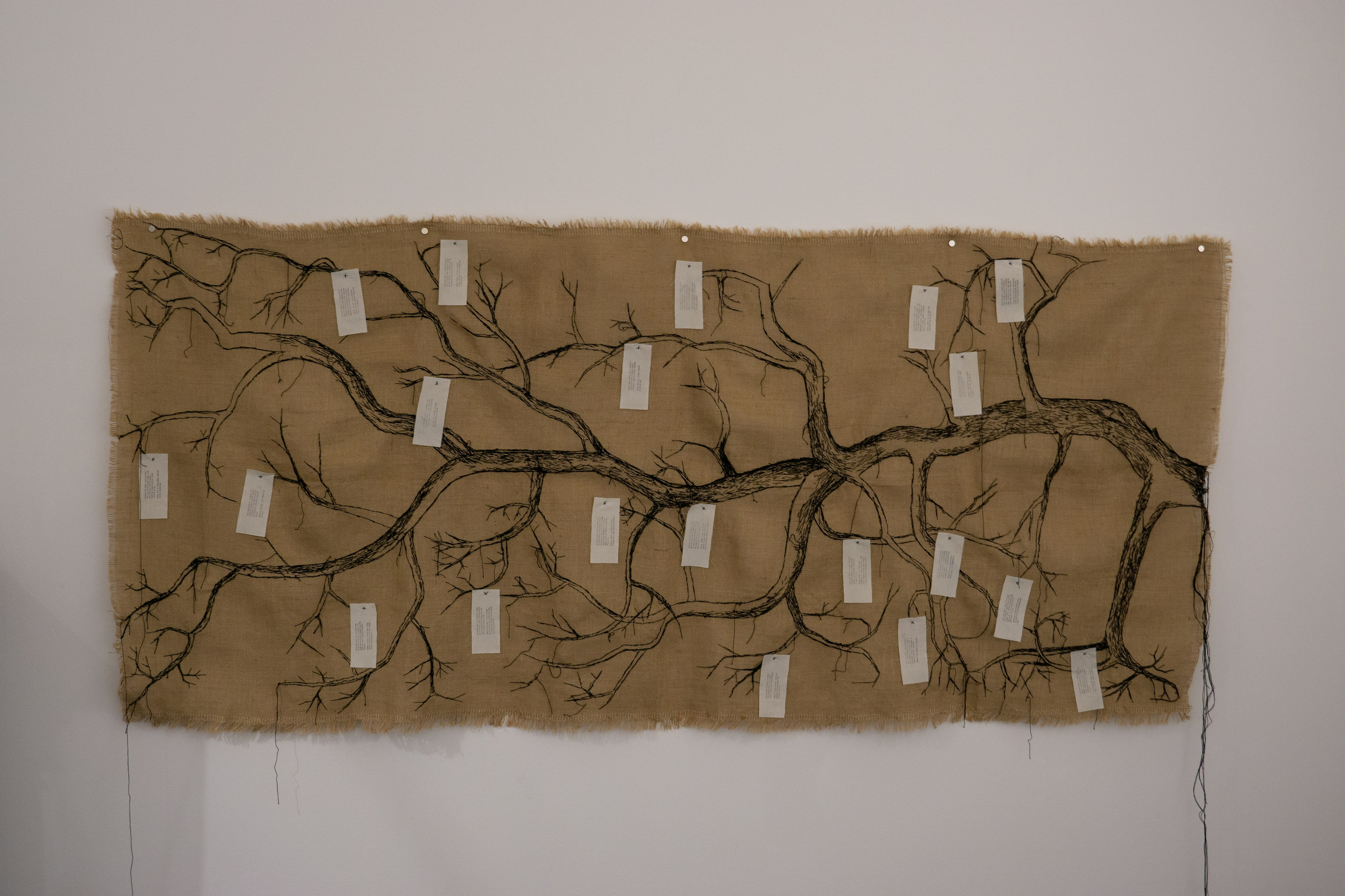 Локус. Anna Vishnevskaya