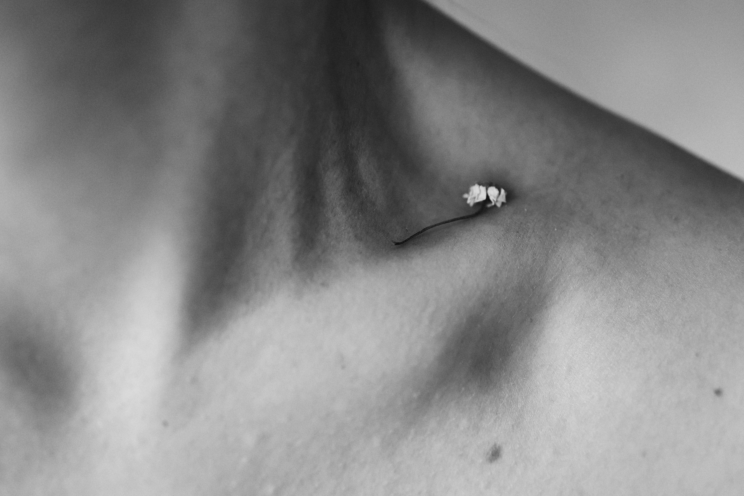 Контакты. Главная