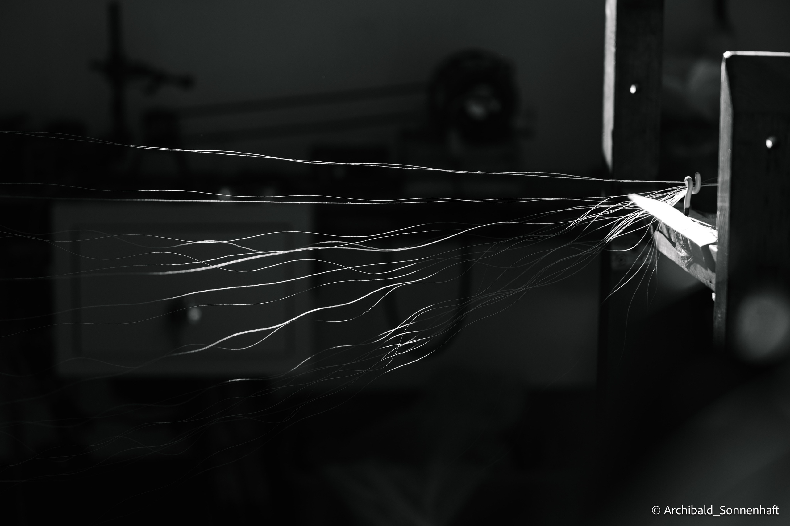 真丝绒绣技艺. Photographer in Guangzhou, China. Archibald Sonnenhaft