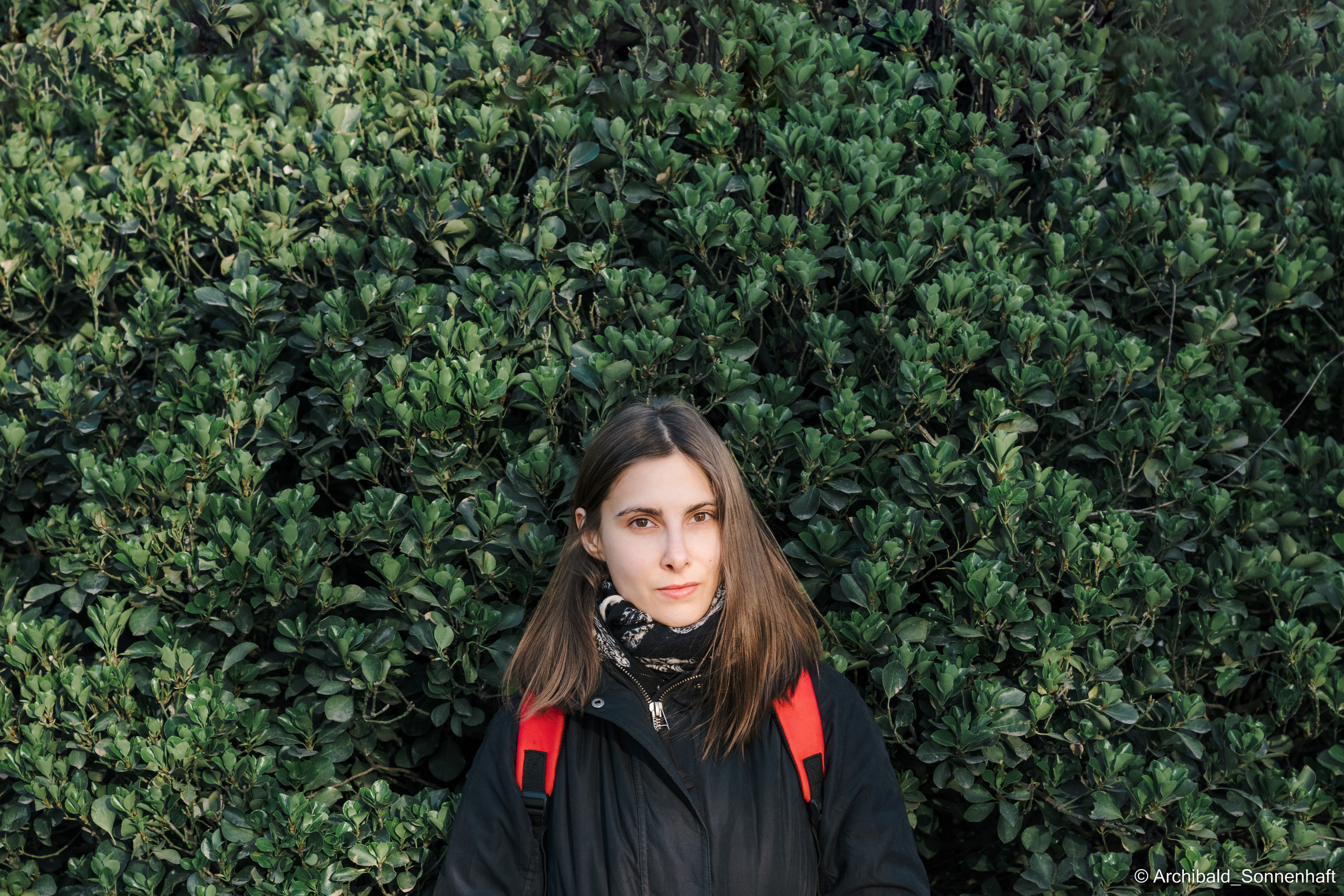 Park, tea and cats. Photographer in Guangzhou, China. Archibald Sonnenhaft