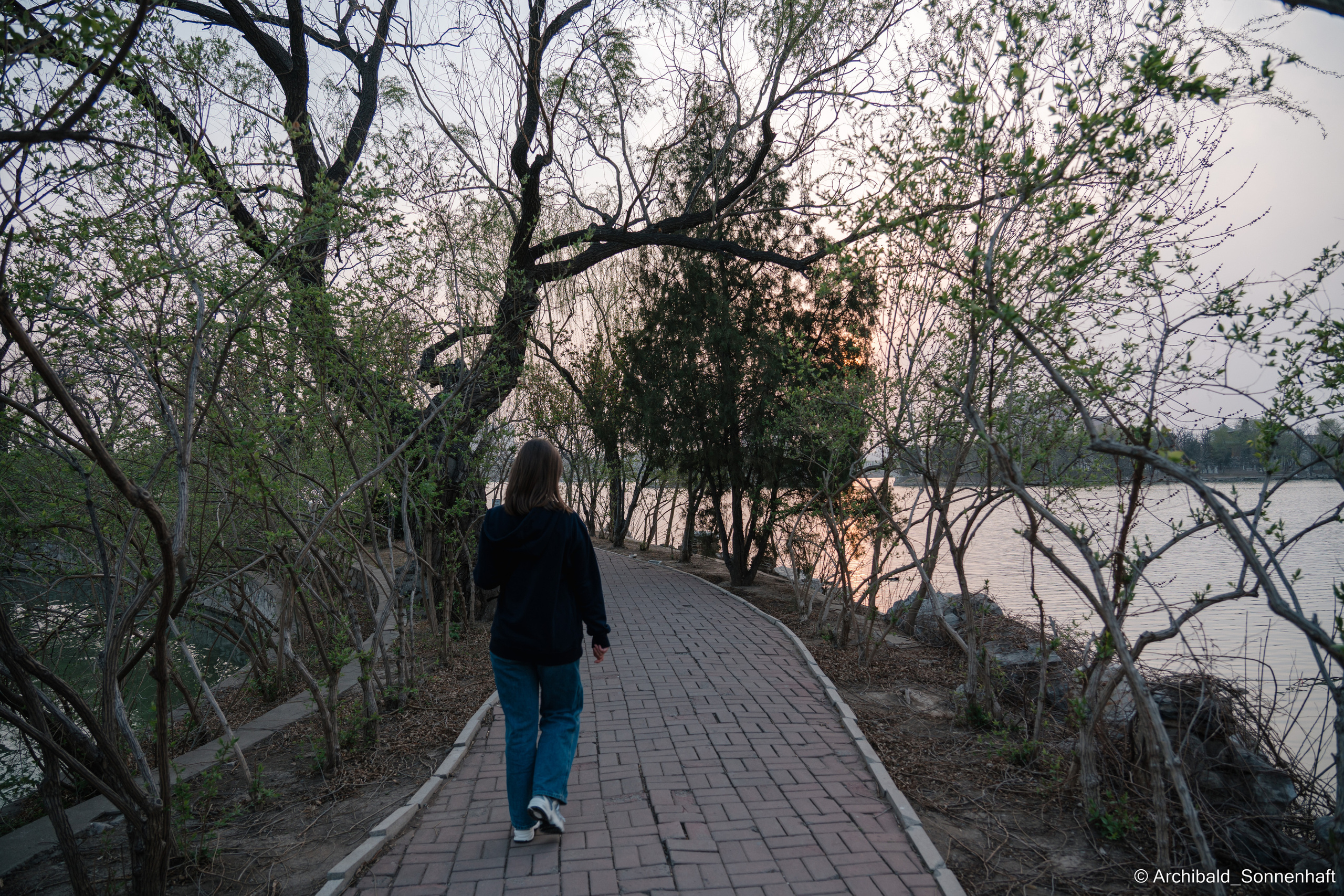 Park, tea and cats. Photographer in Guangzhou, China. Archibald Sonnenhaft