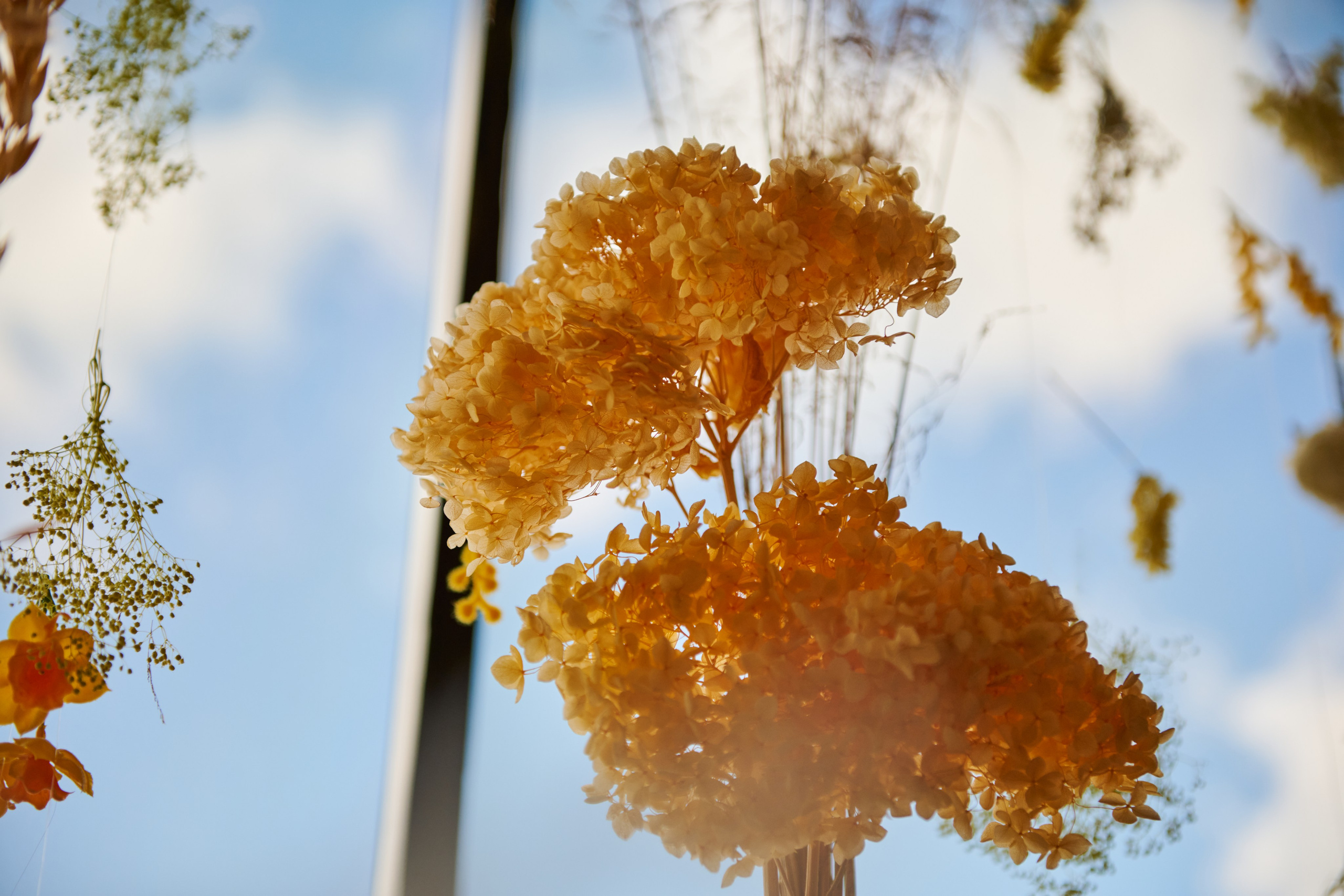 Архитектуры. Фотограф для дизайнеров, застройщиков и бизнеса — интерьеры и архитектура — Свободный Роман в Москве и по России