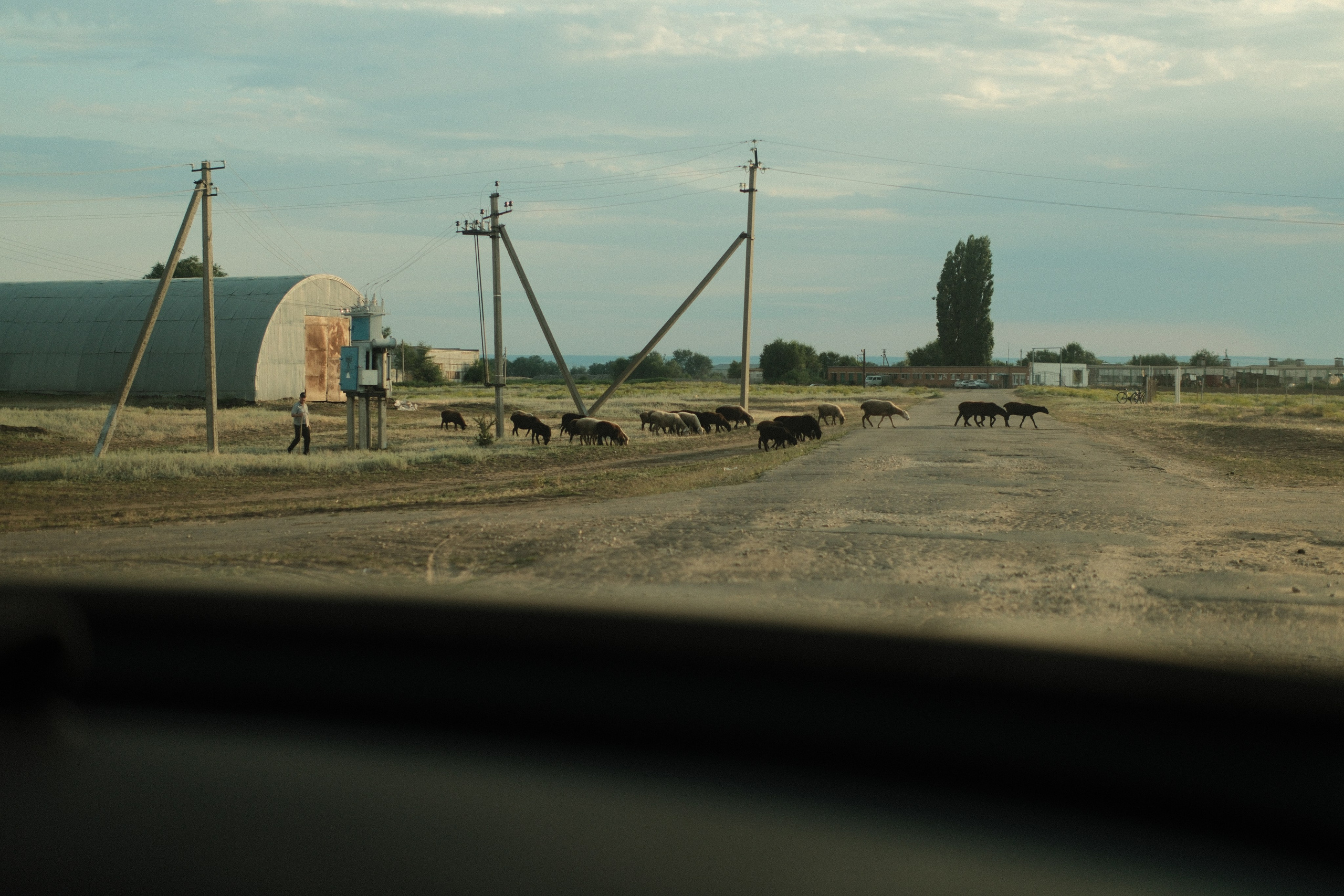 Внезапная фотосессия. Фотограф/Видеограф из Саратова