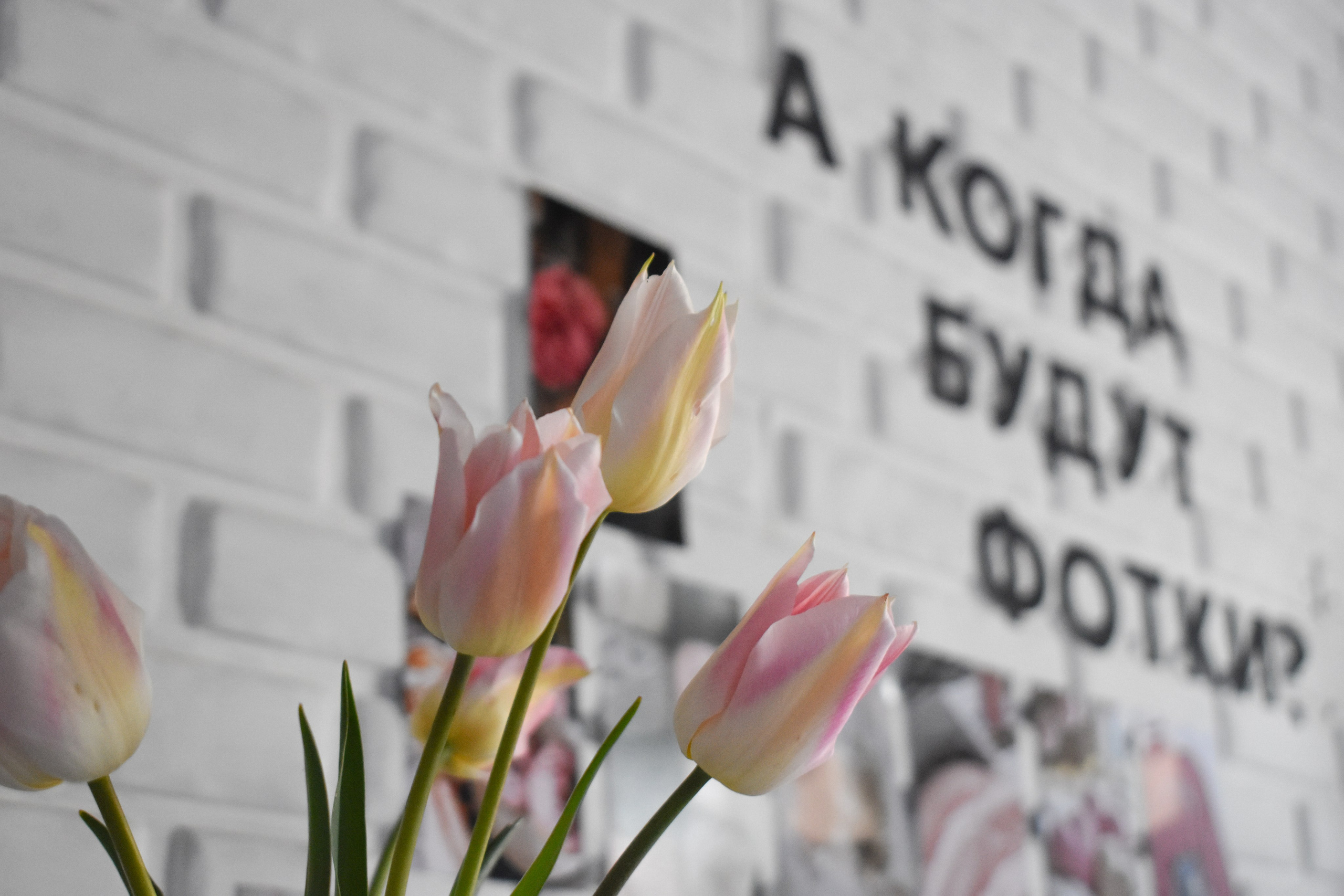 Фотограф Оксана Яремчук — село Левокумское