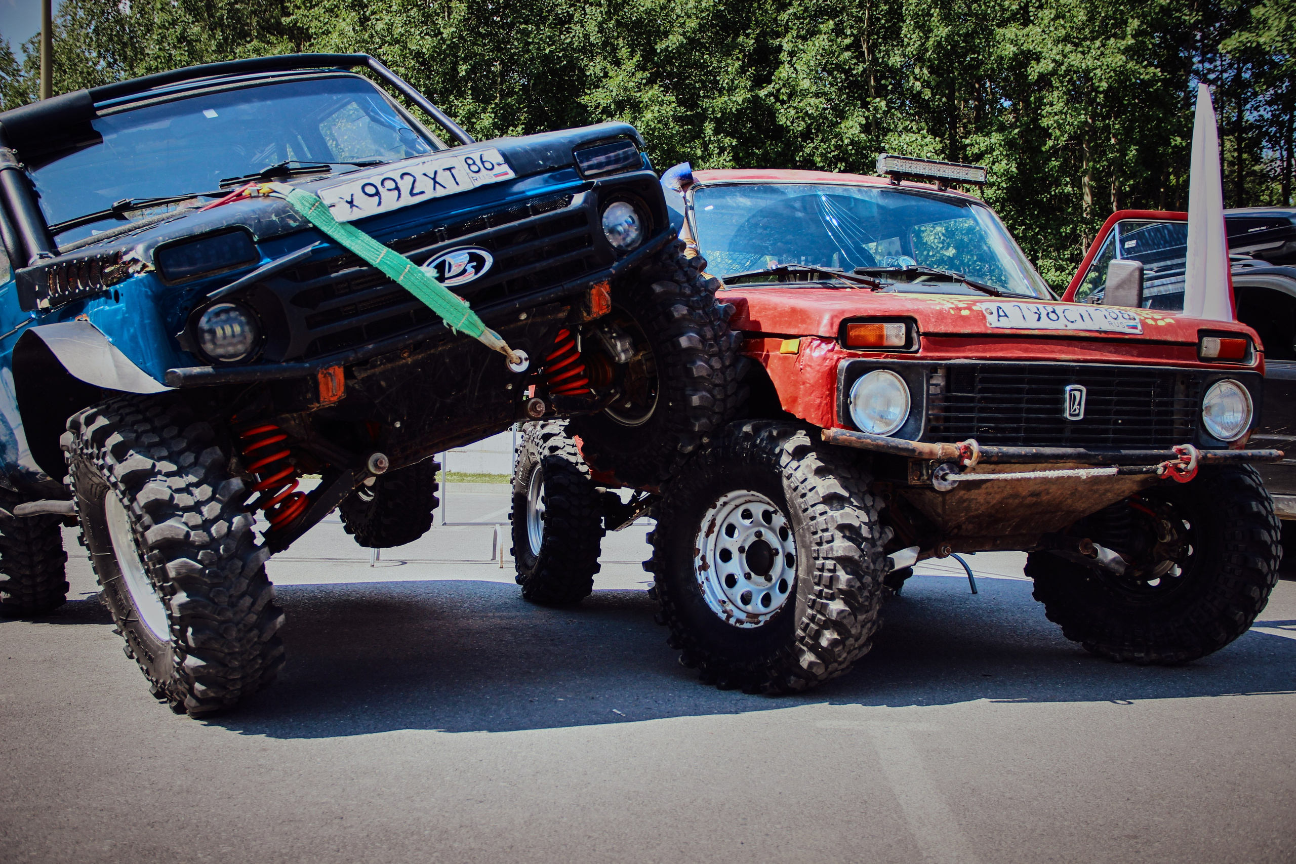 Фотограф: IRINA K