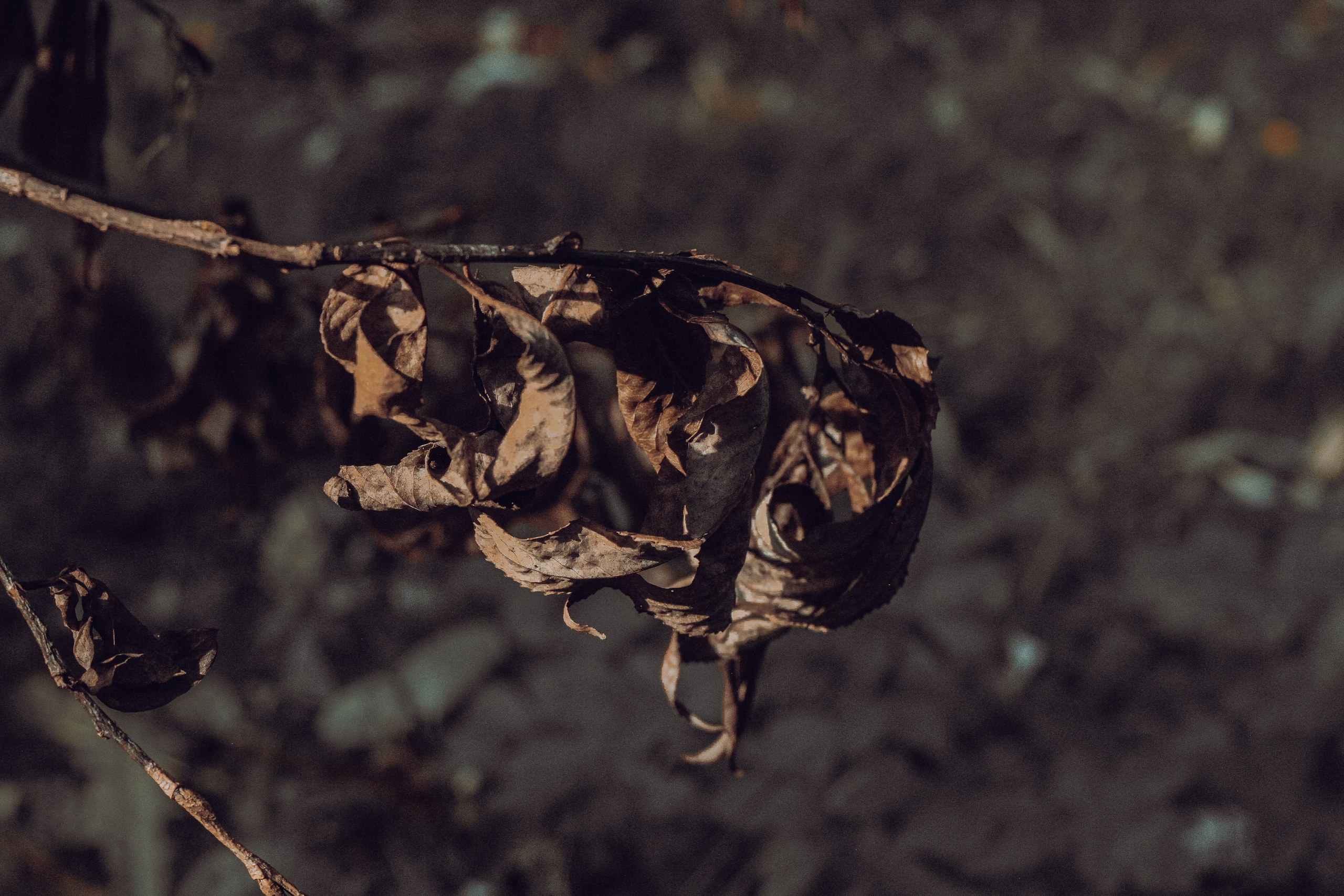 Автопортреты. Фотограф Москва, портрет, стрит, репортаж. Художественная фотосессия