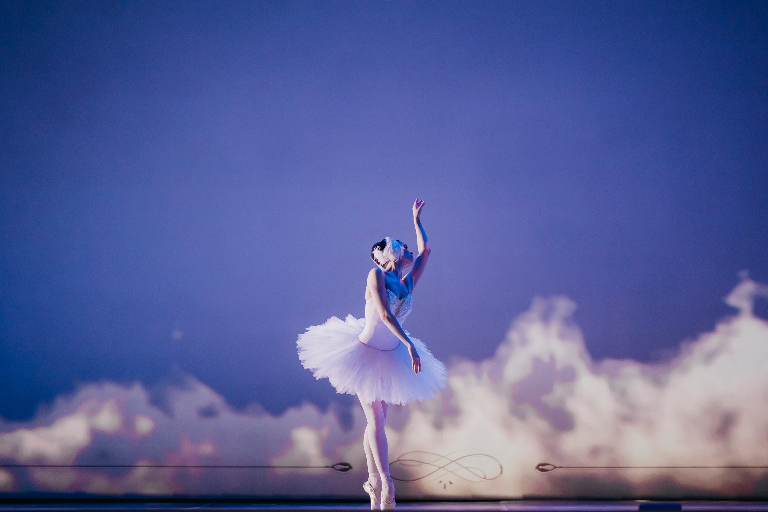 «Большая любовь» LIVE ARENA. «Птичка на проводе»: информационный портал в Москве