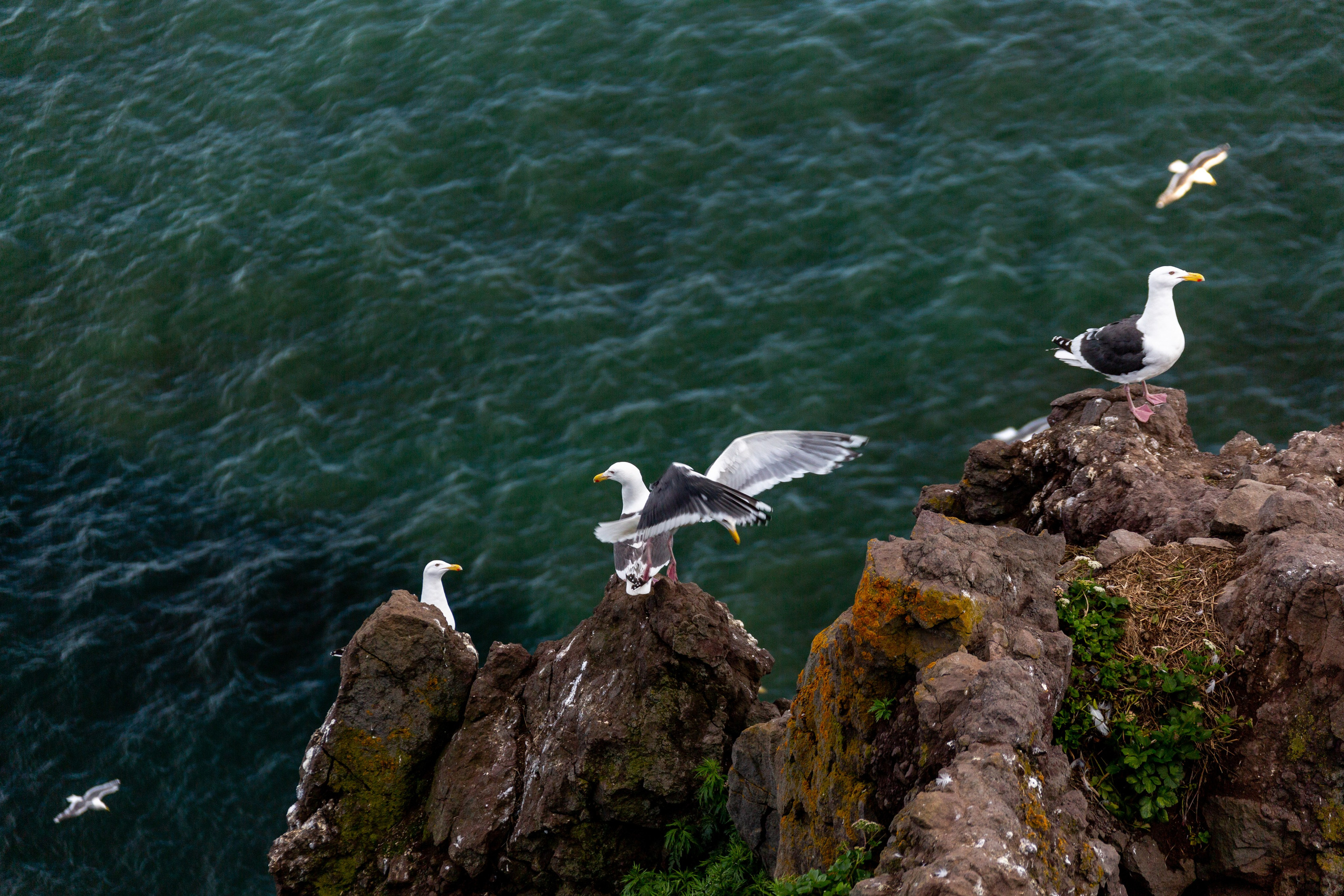 Крабовое сафари + мыс Маячный. Время Камчатки: чтобы найти свой путь, нужно скорость умножить на время