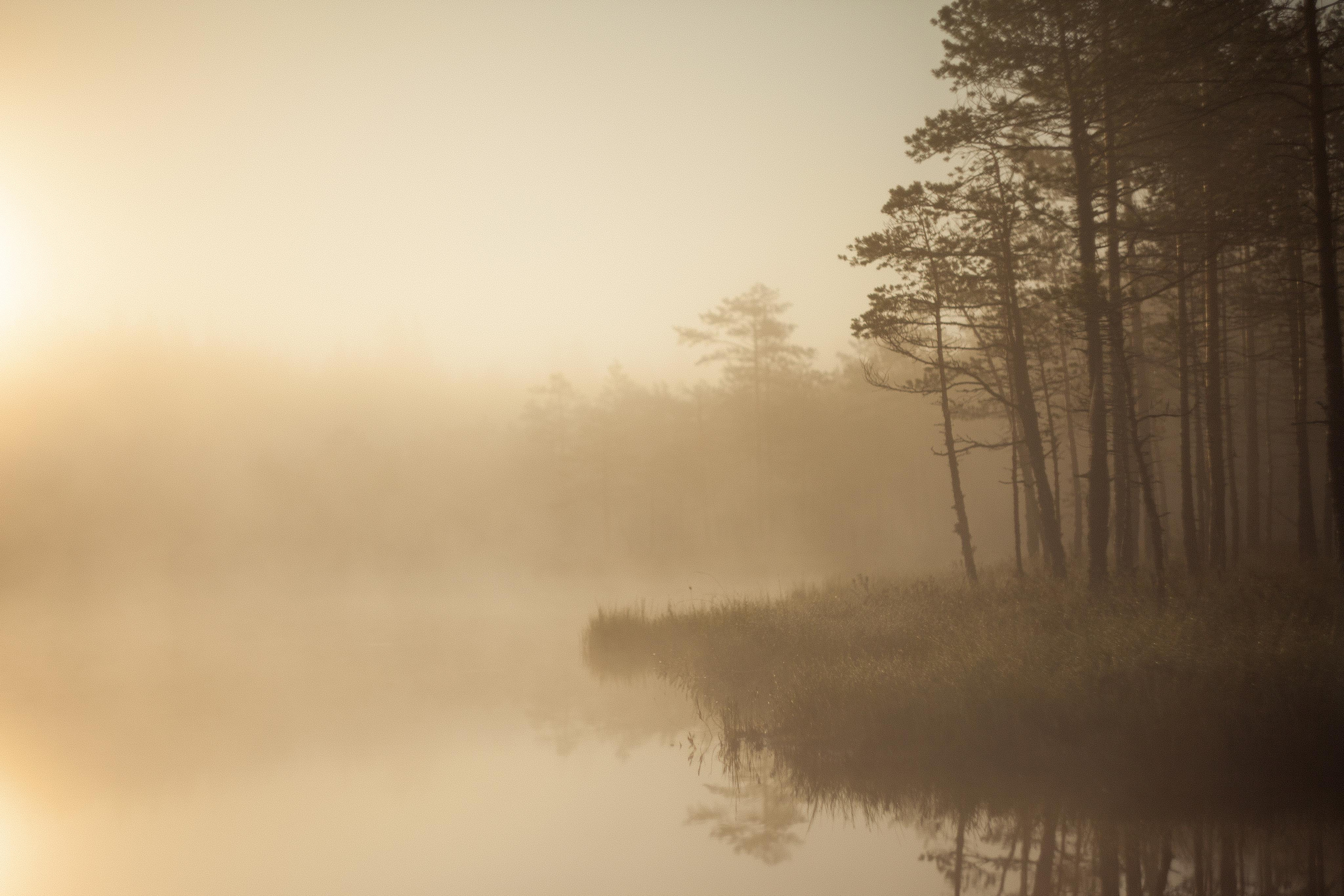 Арт-съёмка, портреты, репортажи