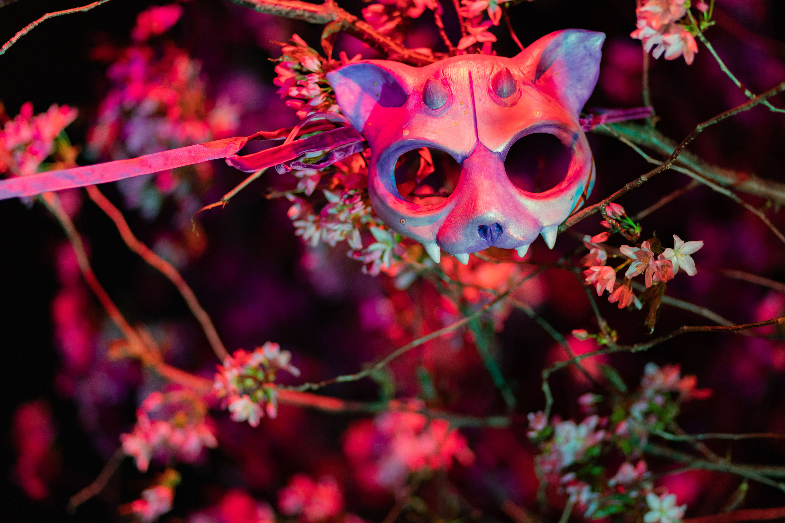 Арт-съёмка, портреты, репортажи