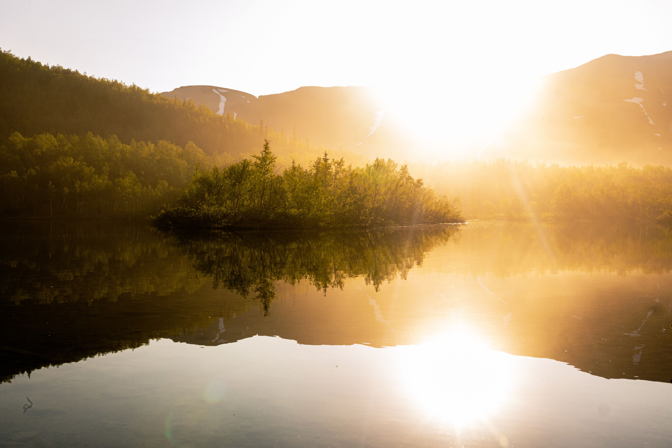 Арт-съёмка, портреты, репортажи