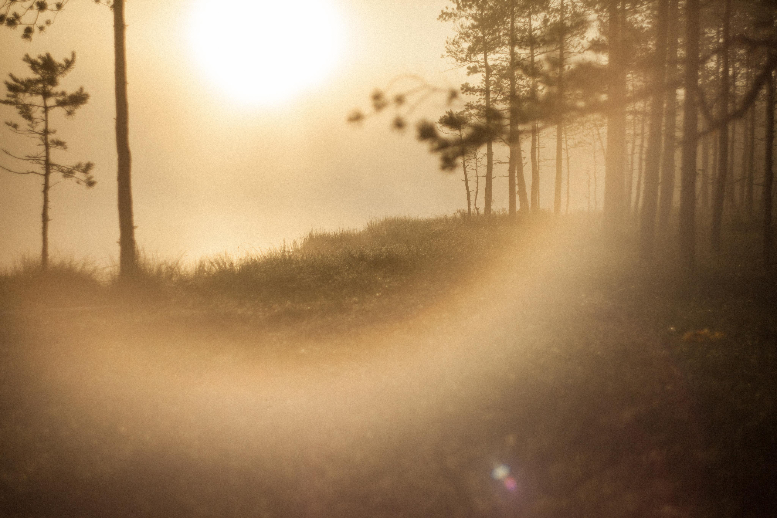 Арт-съёмка, портреты, репортажи