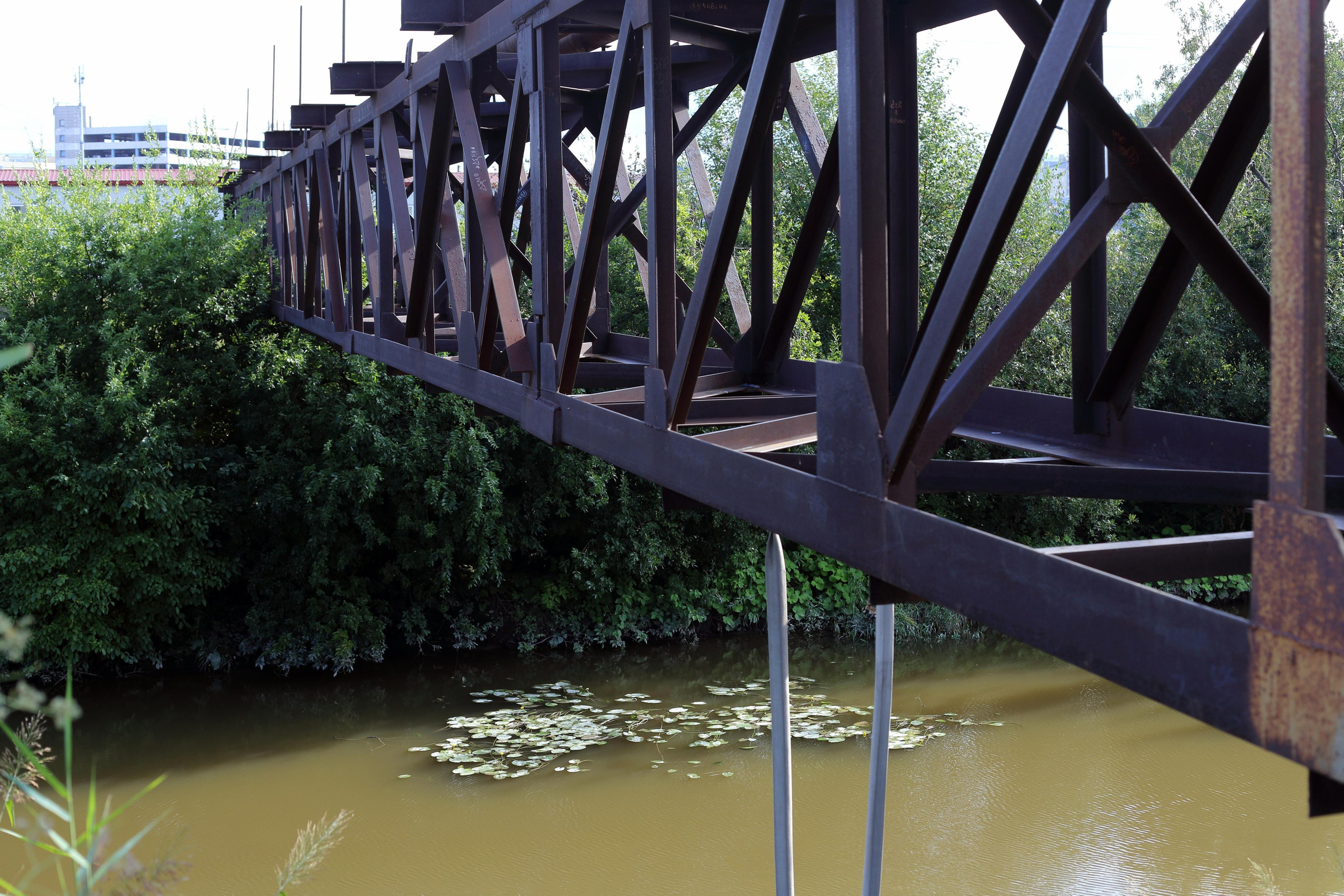 Красненькая биеннале 2021 (СПБ)