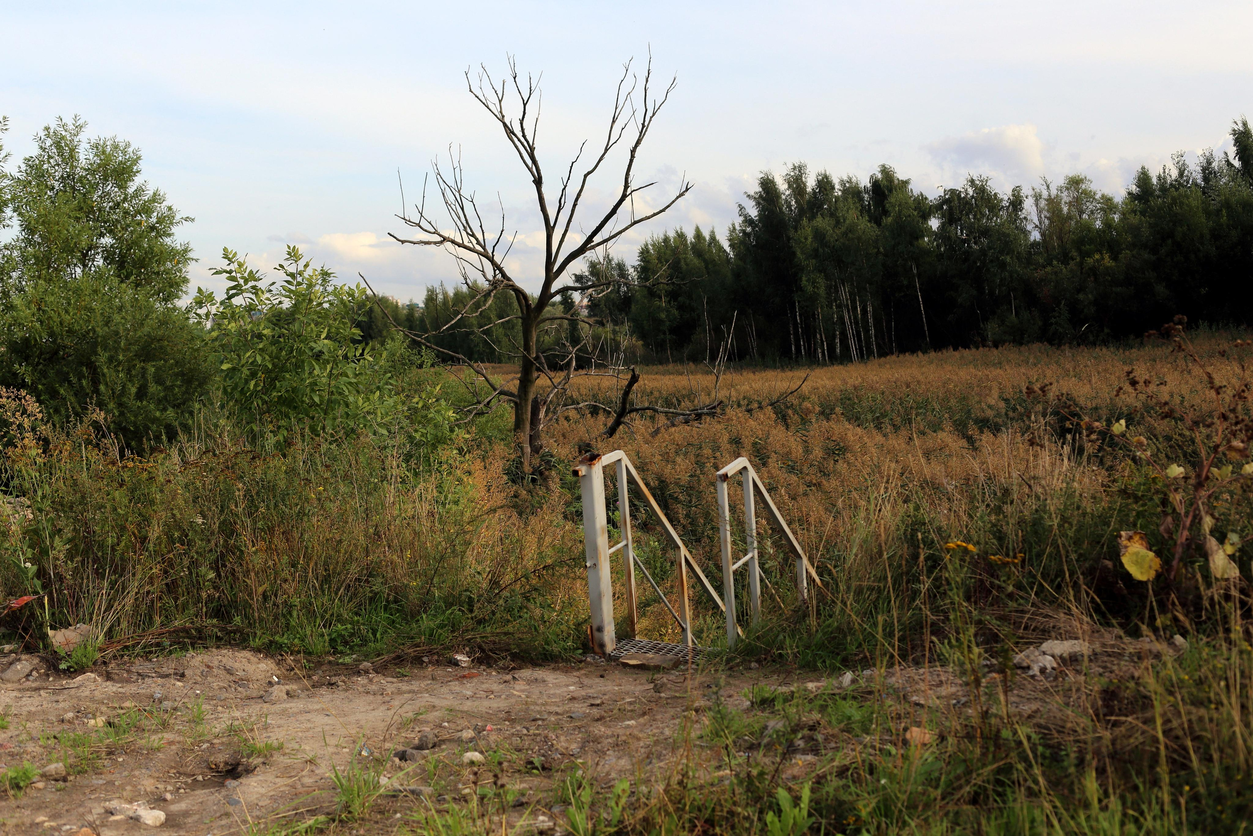 Красненькая биеннале 2021 (СПБ)