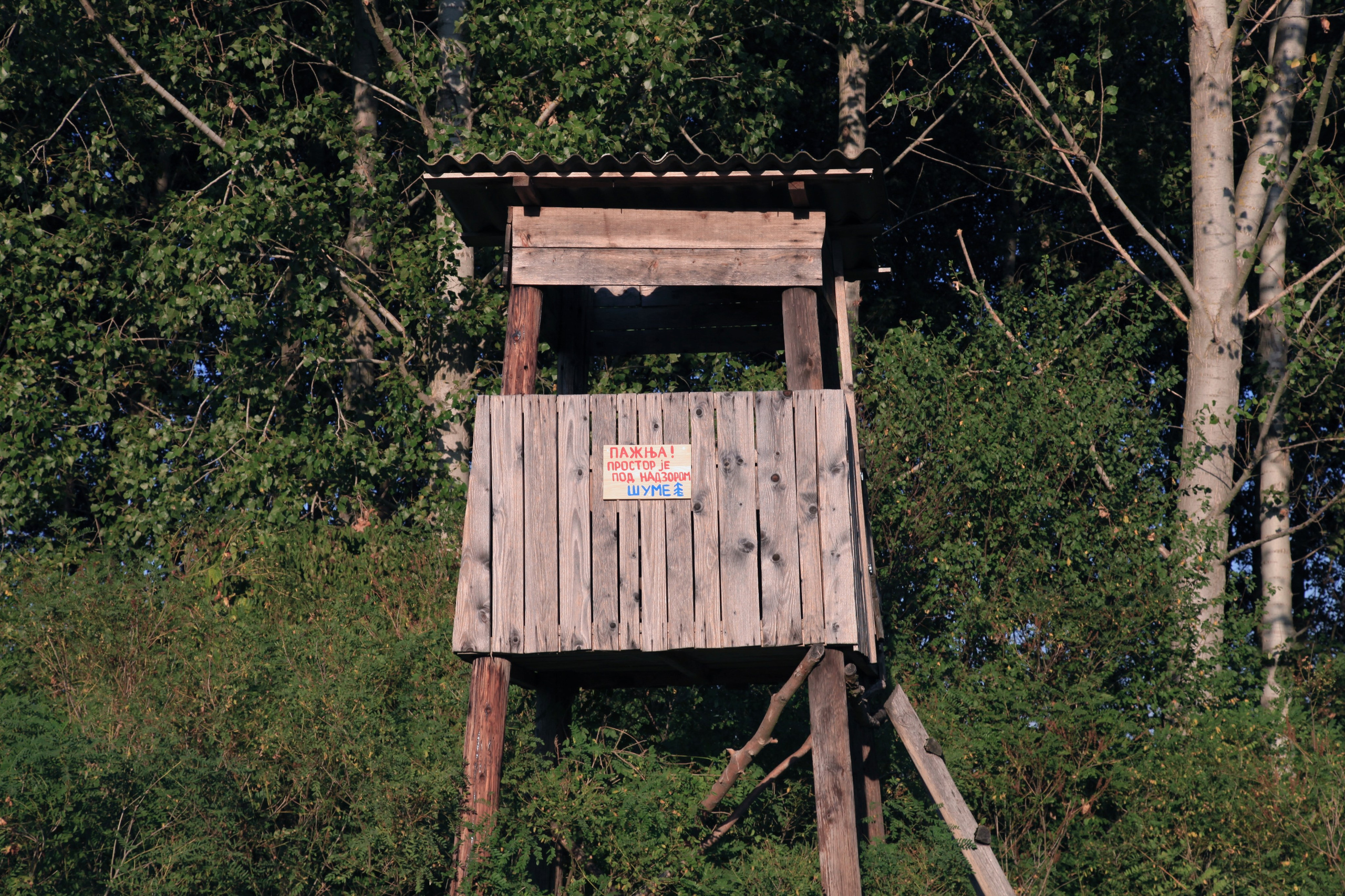 Наталия Бабинцева — ВЫДЕЛЕННАЯ ТЕРРИТОРИЯ: прогулки с N