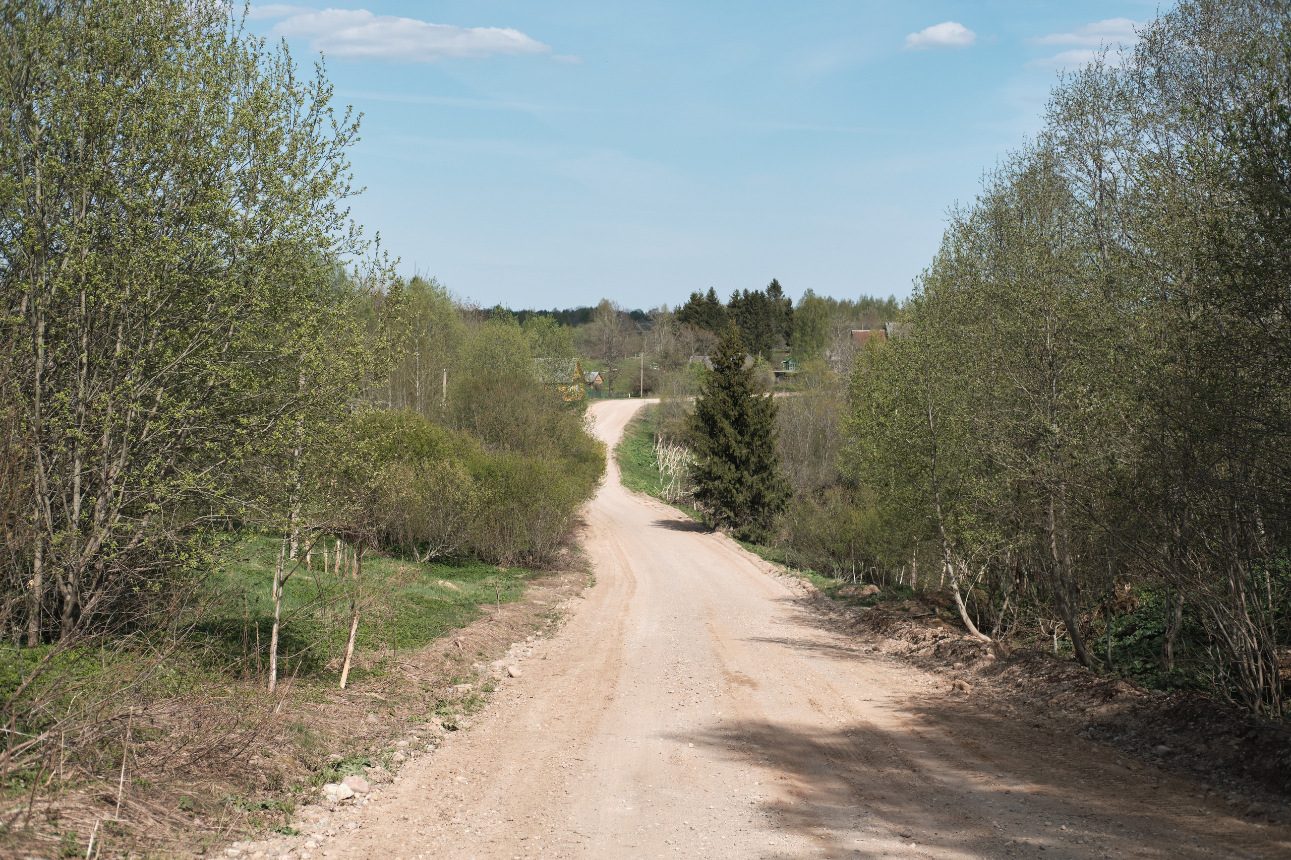 1579 взрослых шагов