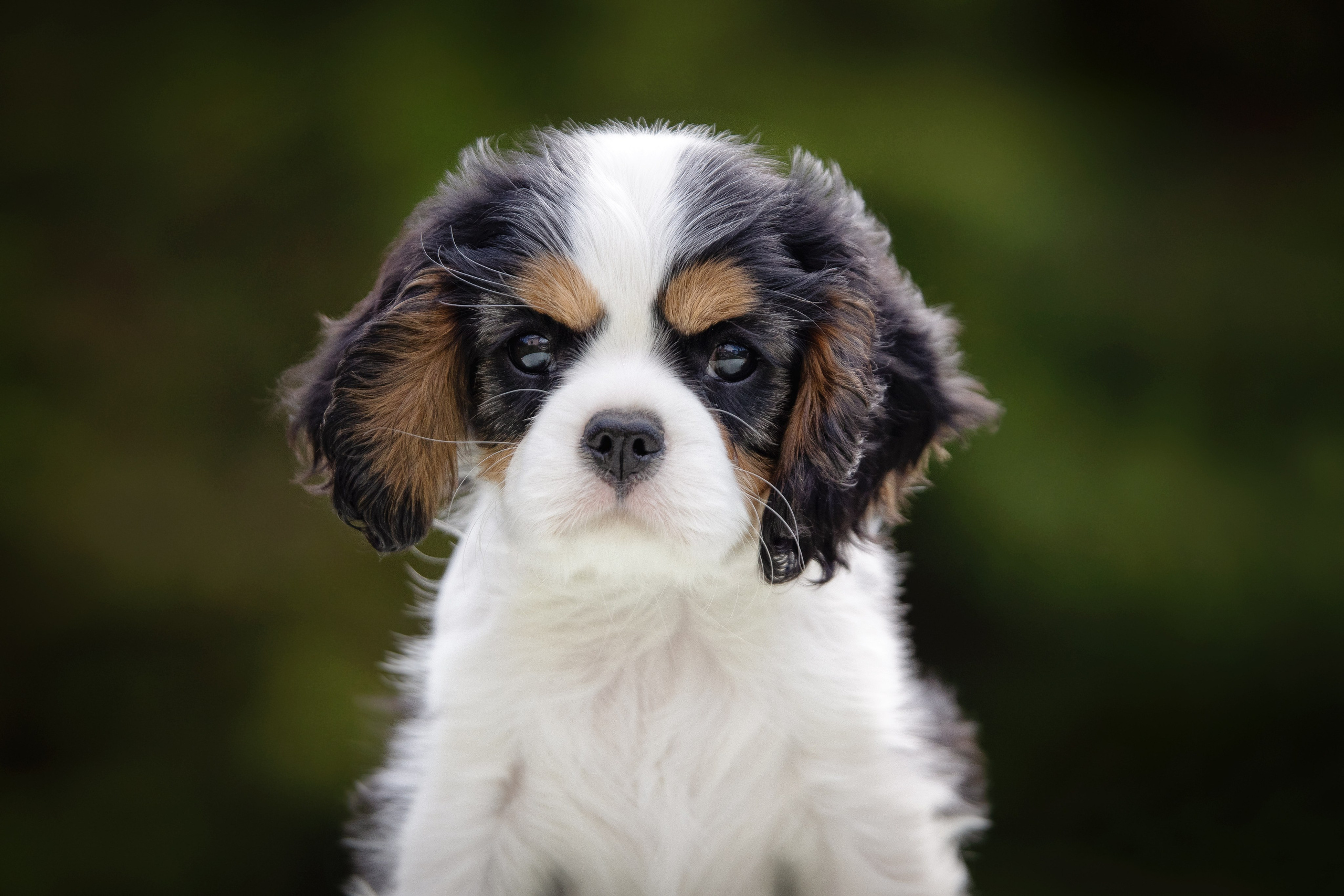 Юлия Микульская. Рыбинск