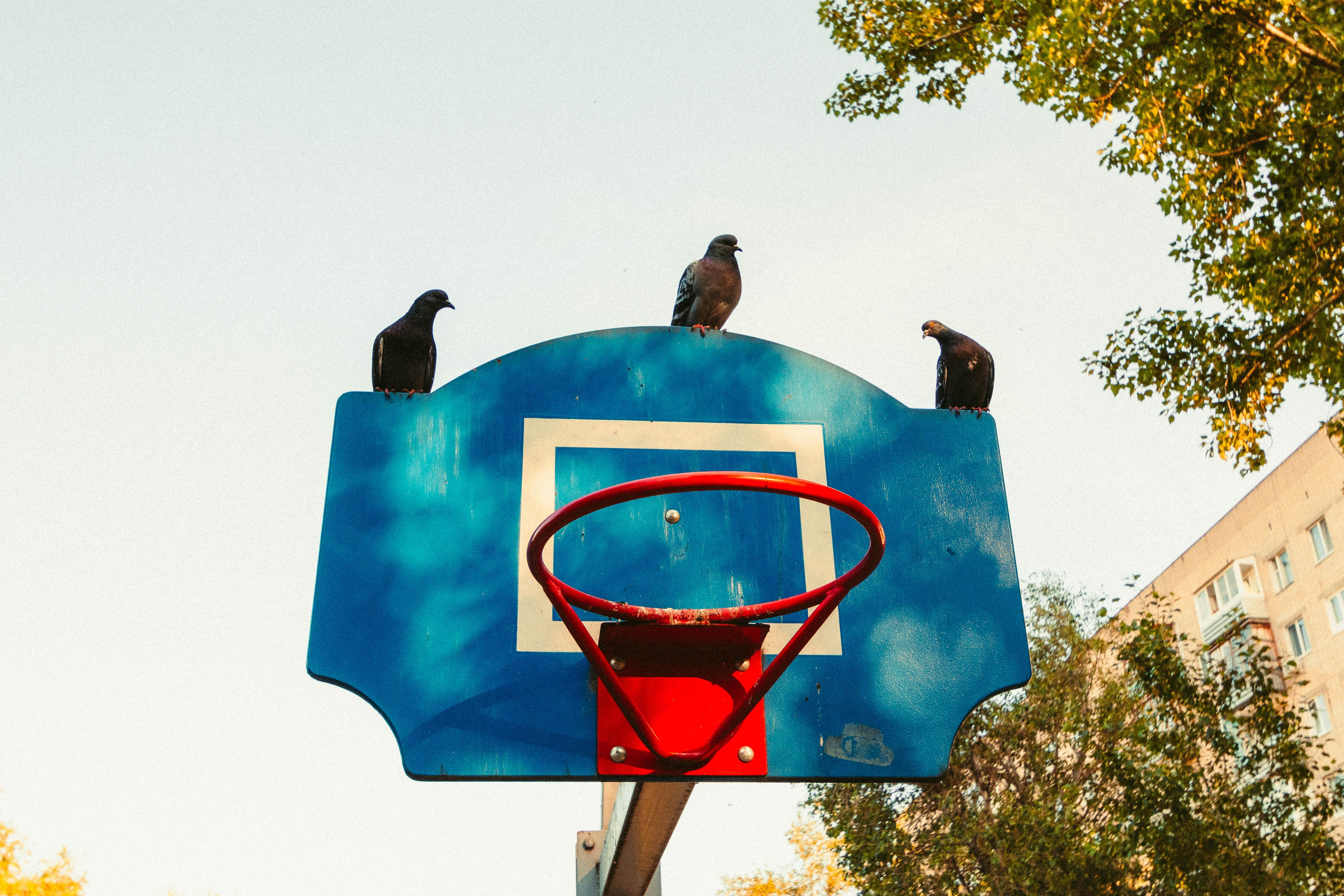 Ты всё о Мане, да о Нимейере. А мир вокруг тебя — о разрухе и панельках. Репортажный и портретный фотограф в Тольятти