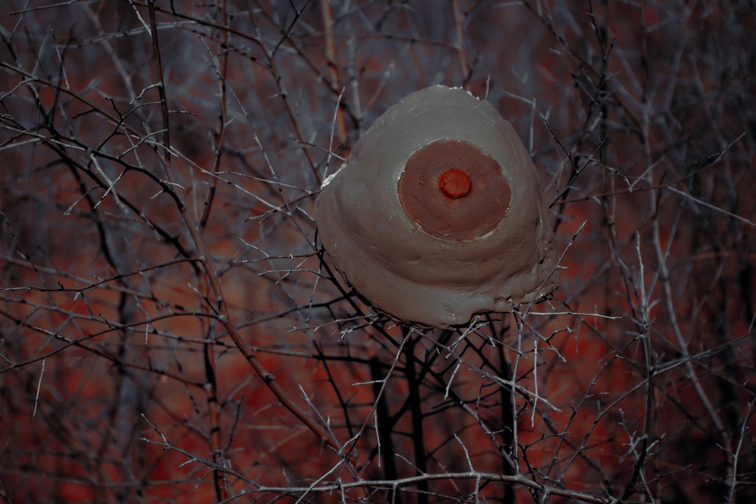 Исток нашей жизни. Фотограф в Омске Екатерина Павлова