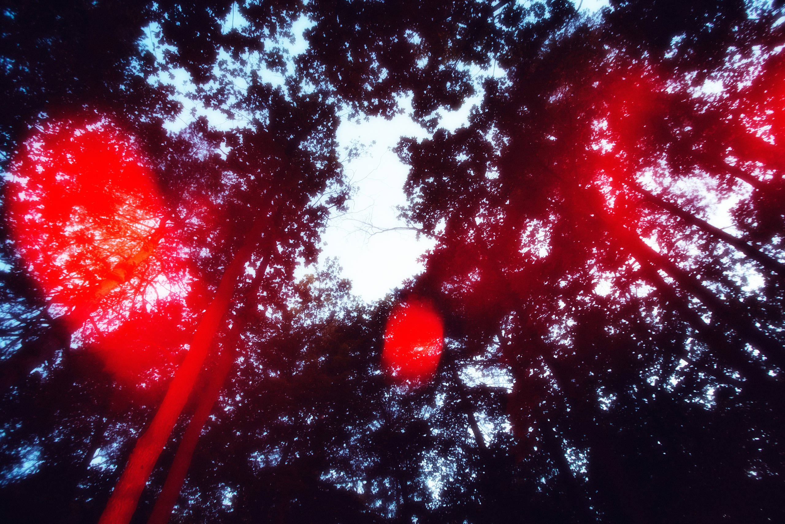 Промежуток между известным и неизвестным. Репортажный и портретный фотограф в Тольятти