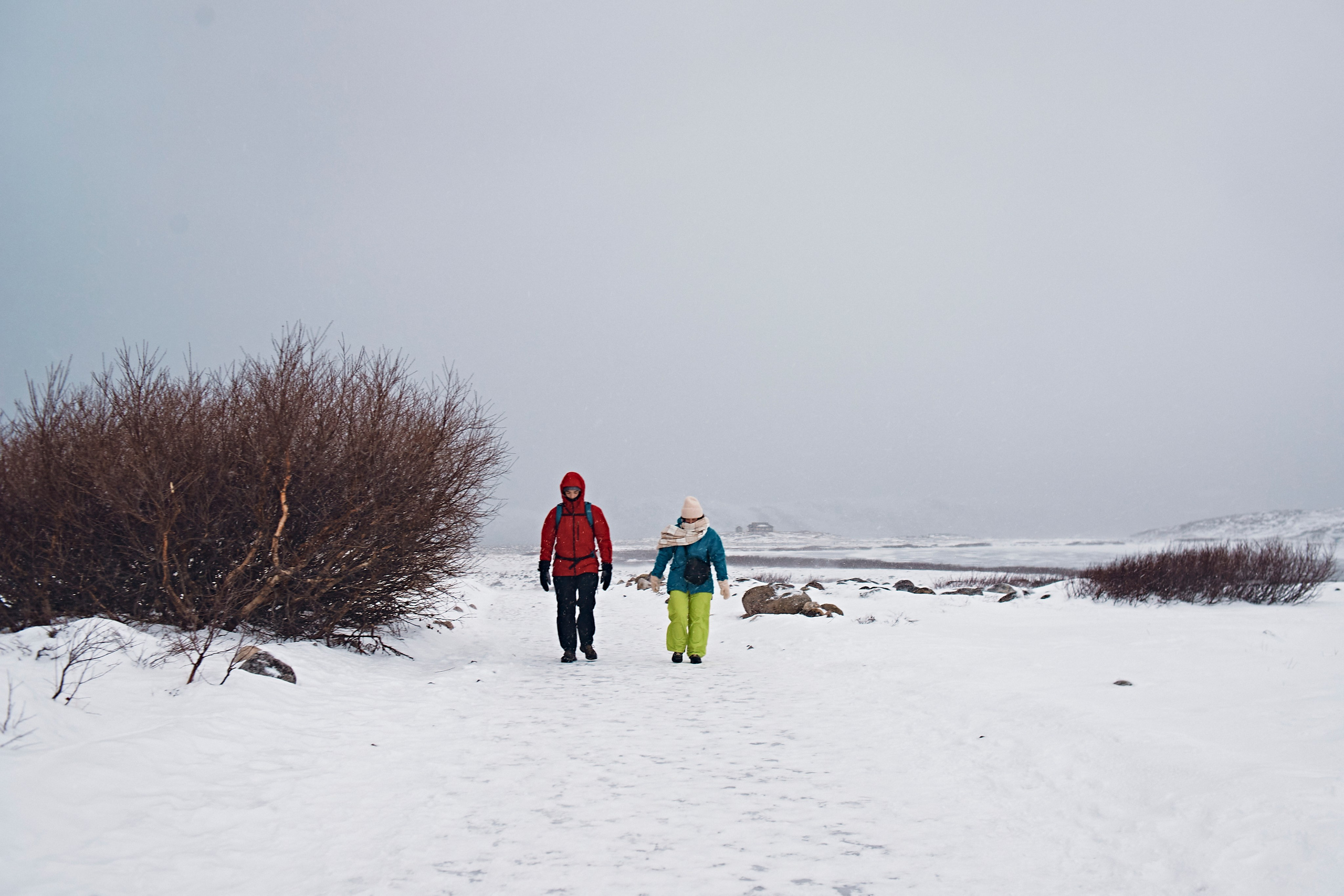 T e r i b e r k a. Главная