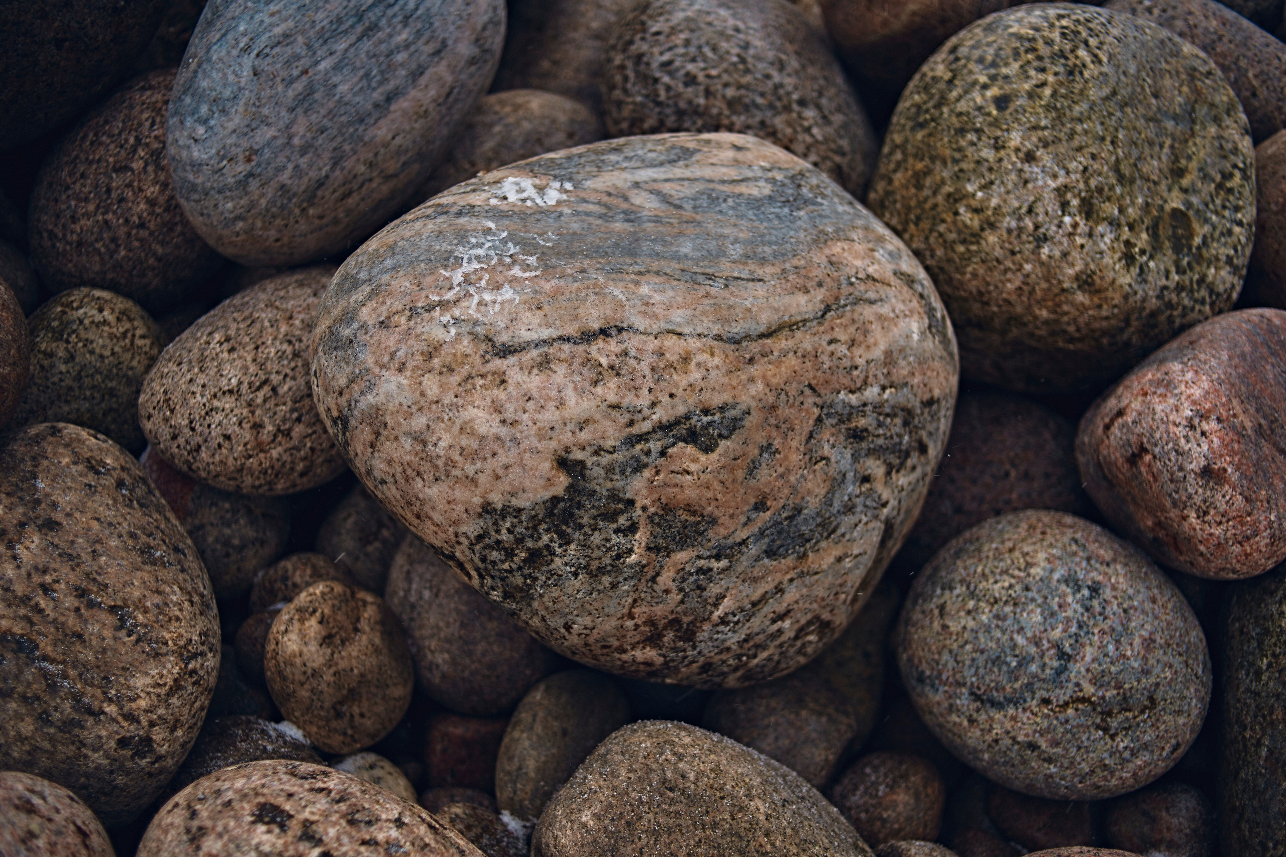 T e r i b e r k a. Главная