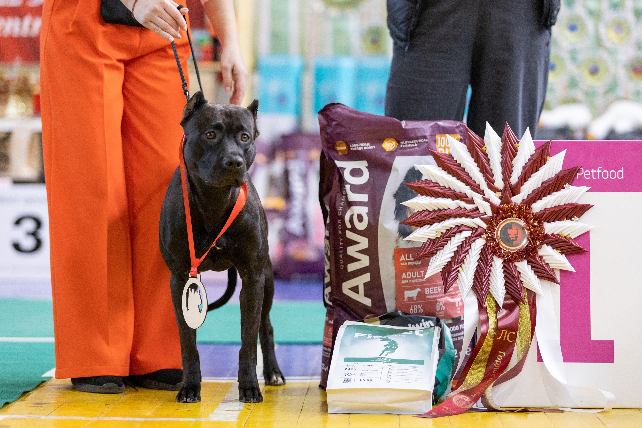 Репортажная съемка. Фотограф Яна Матвеева в Ижевске