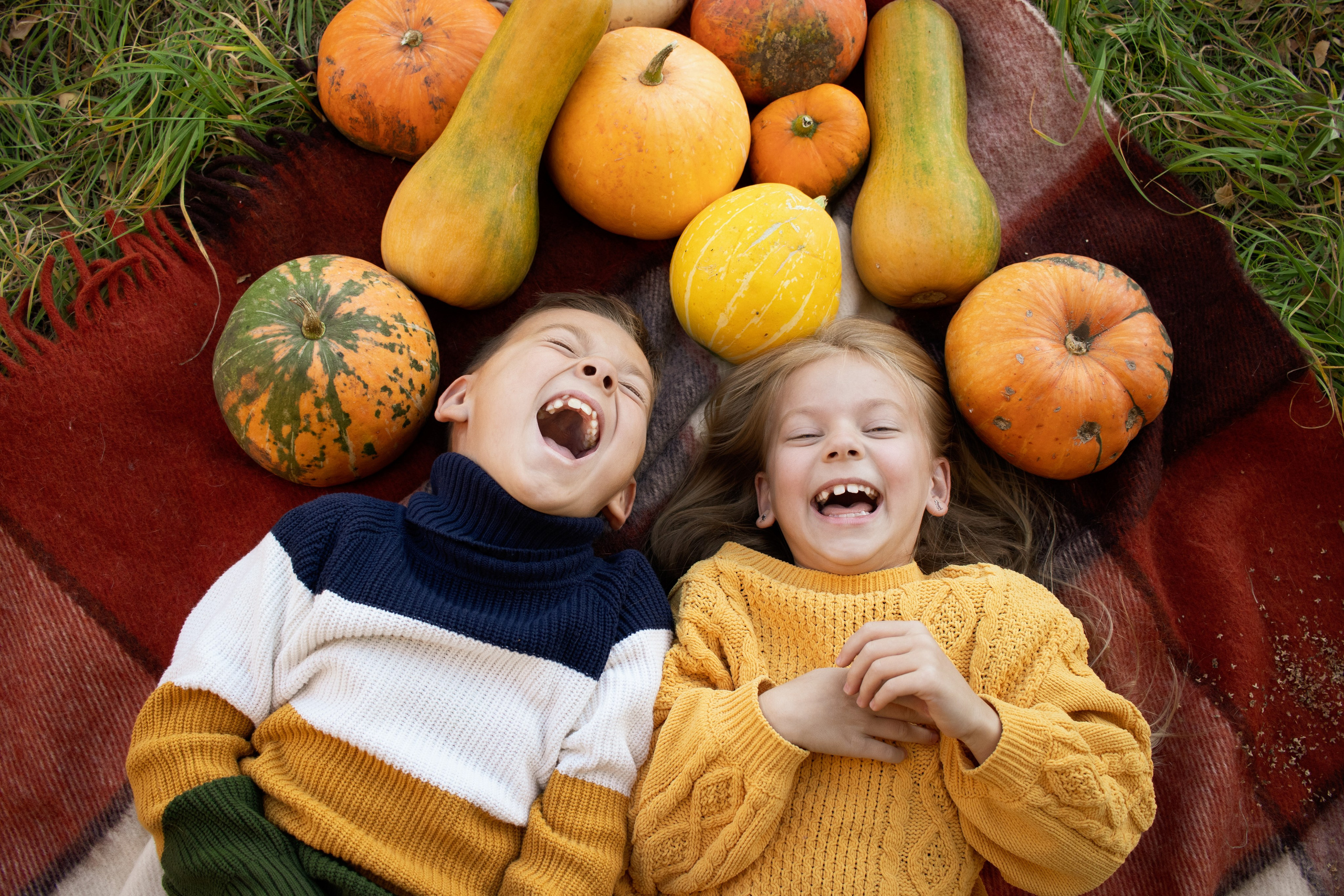 Семейная и детская фотография в Плешаново. Валерия Вибе