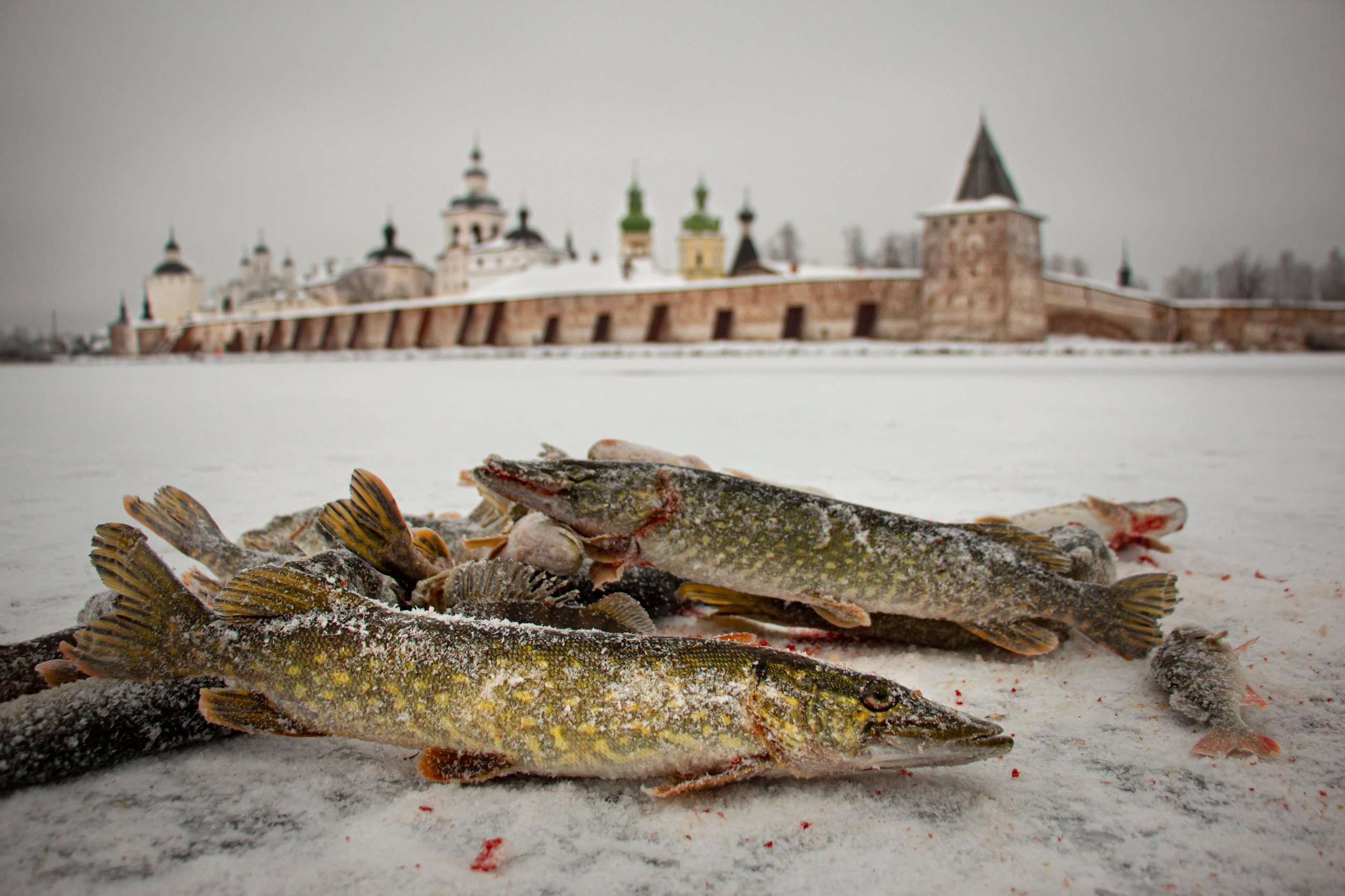 Фотограф в Москве Юлия Карпова