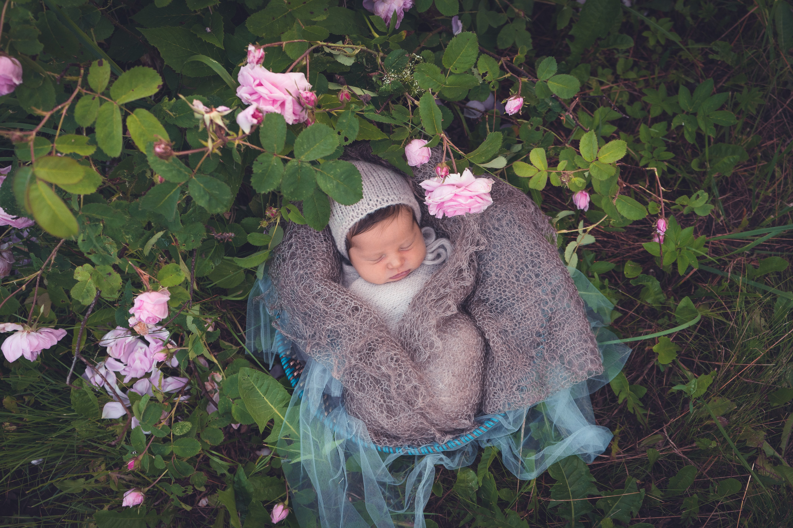 чтоб фотосессия новорожденных прошла хорошо