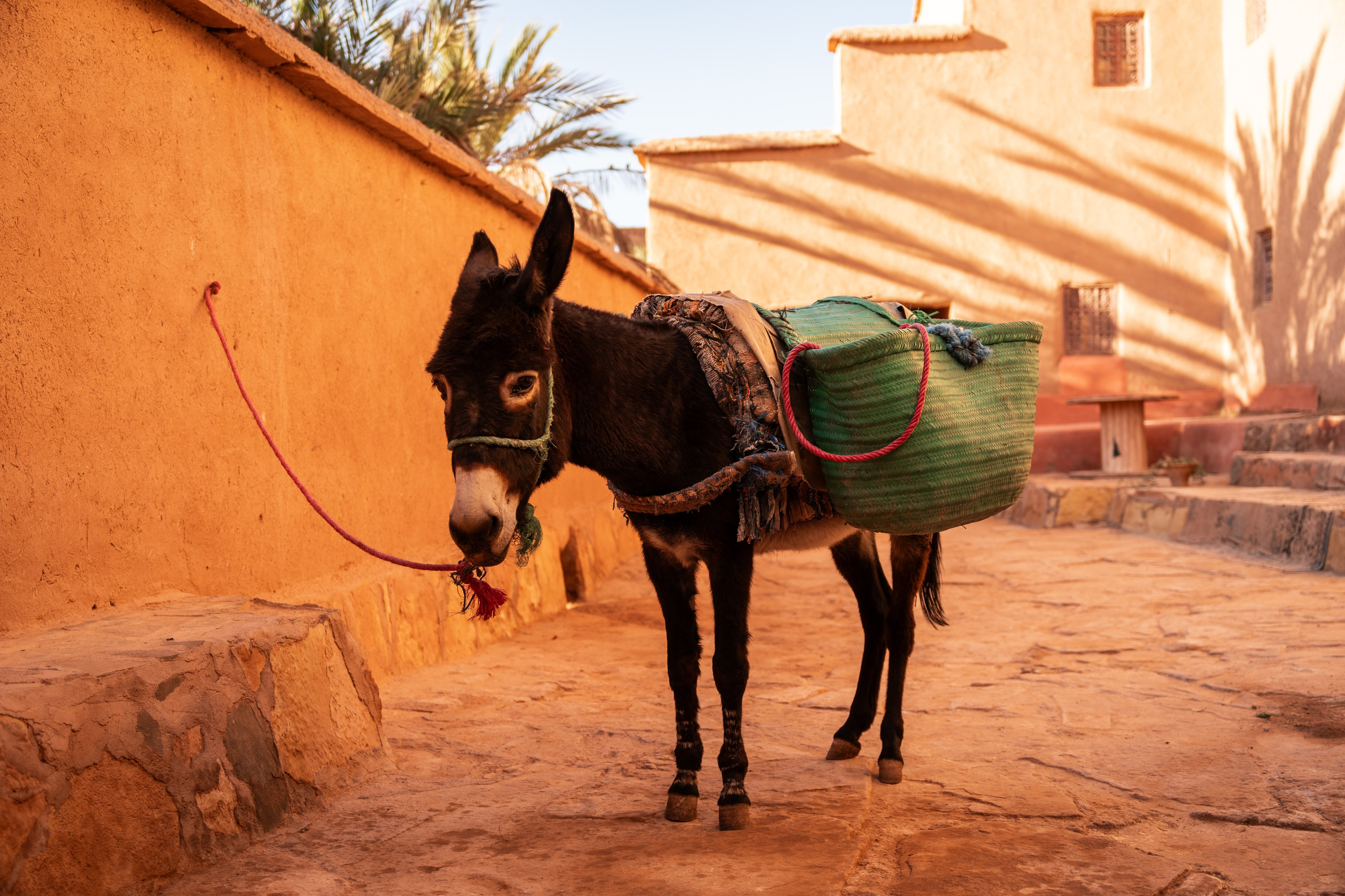 Марокко. Илья Варин — Фотограф Москва, Тверь