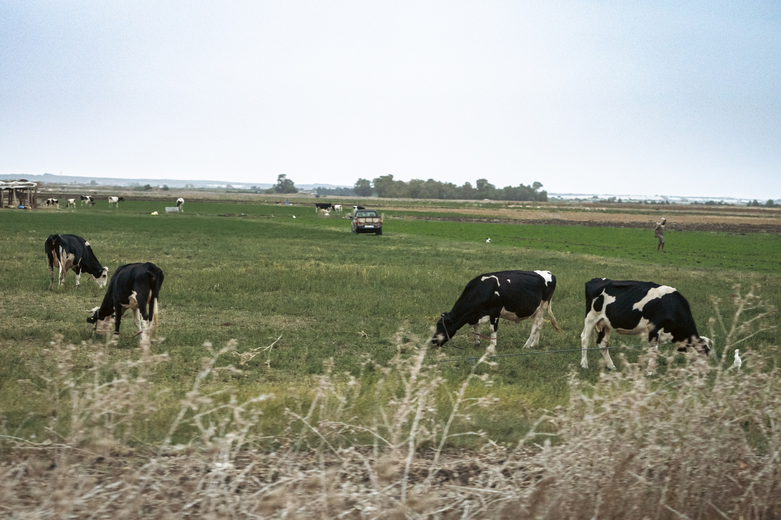 Марокко. Илья Варин — Фотограф Москва, Тверь